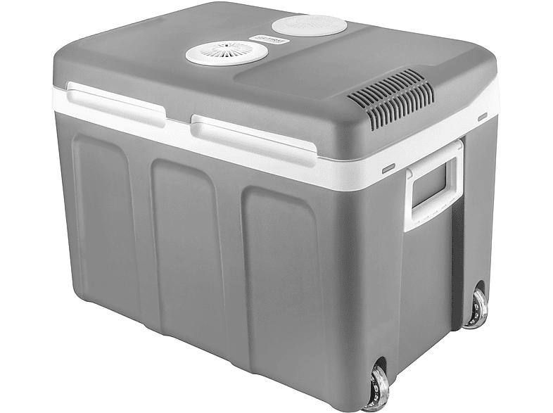 TZS FIRST AUSTRIA FA-5170-2 Kühlbox (45 Liter, Grau)