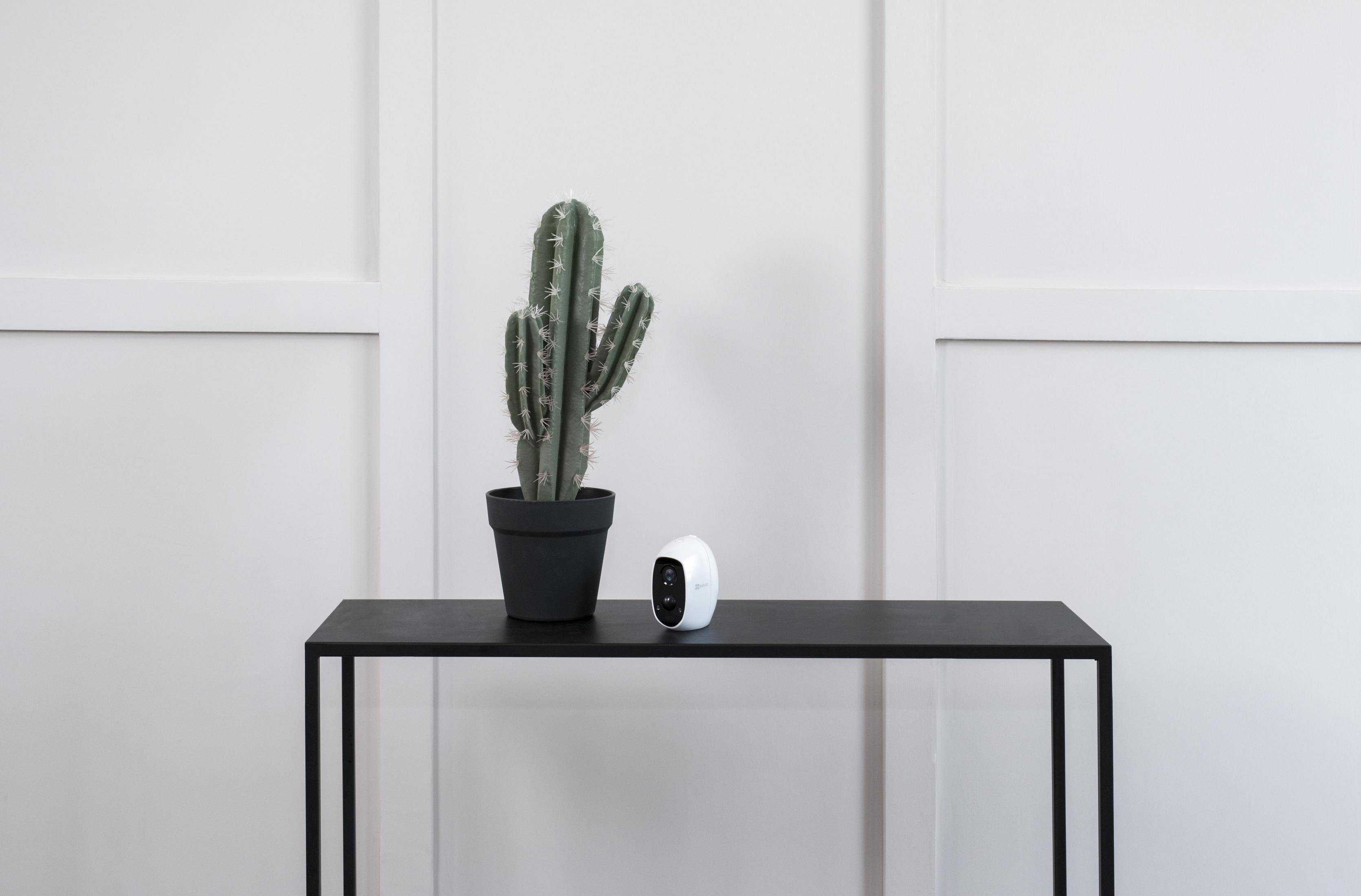 Kaktus w czarnej doniczce na czarnym stole, z białą kamerą bezpieczeństwa i białą ścianą.