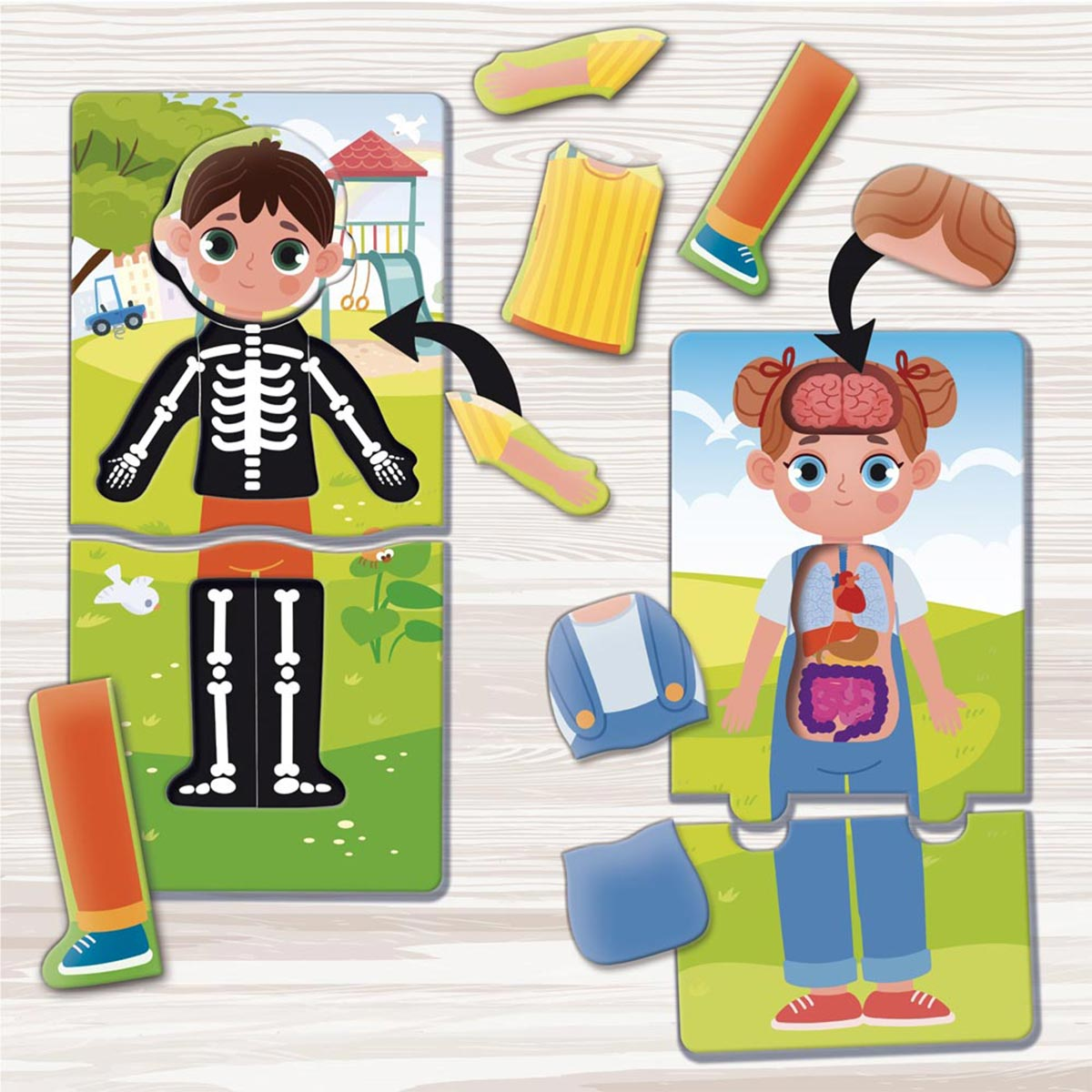 Lernspiele, Baby Kleiner LERNEN CO Spielebox Lisciani mehrfarbig Doktor, & von Montessori