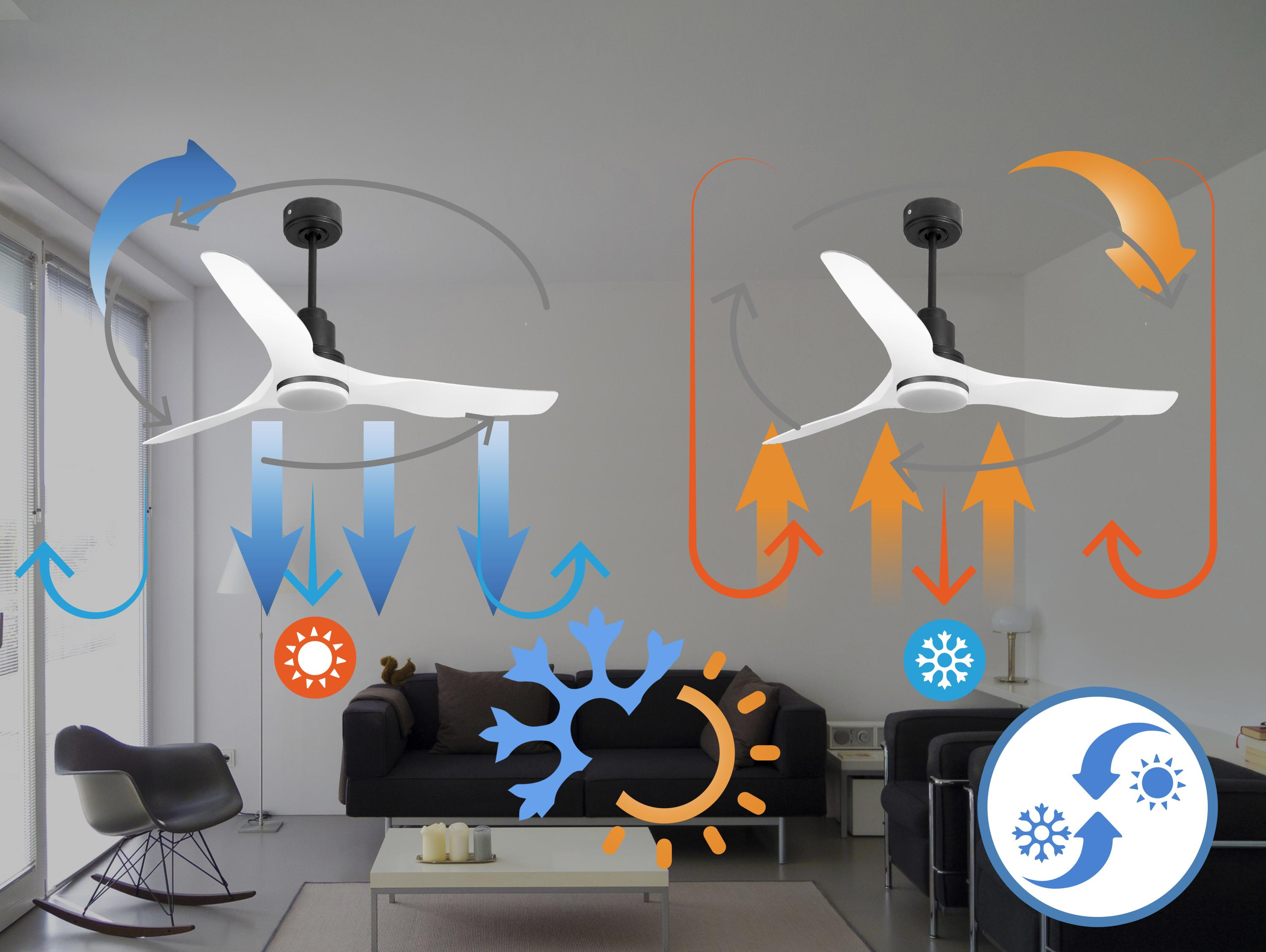 Una ilustración que muestra el flujo de aire de un ventilador de techo tanto para enfriar como para calentar. El ventilador es blanco.