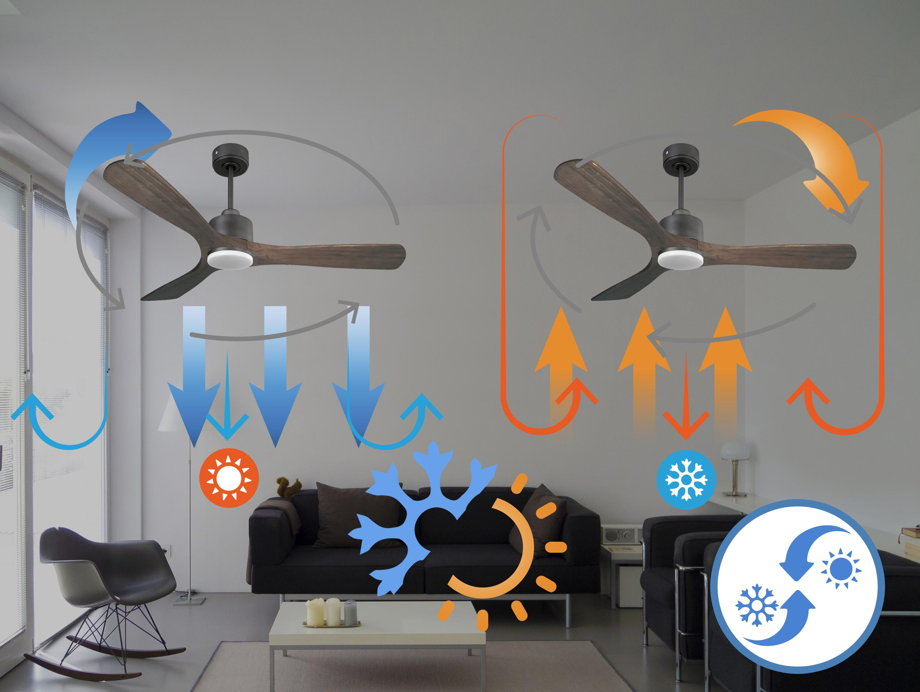 Ventiladores de techo con aspas de madera en salón moderno, ilustrando direcciones del flujo de aire.