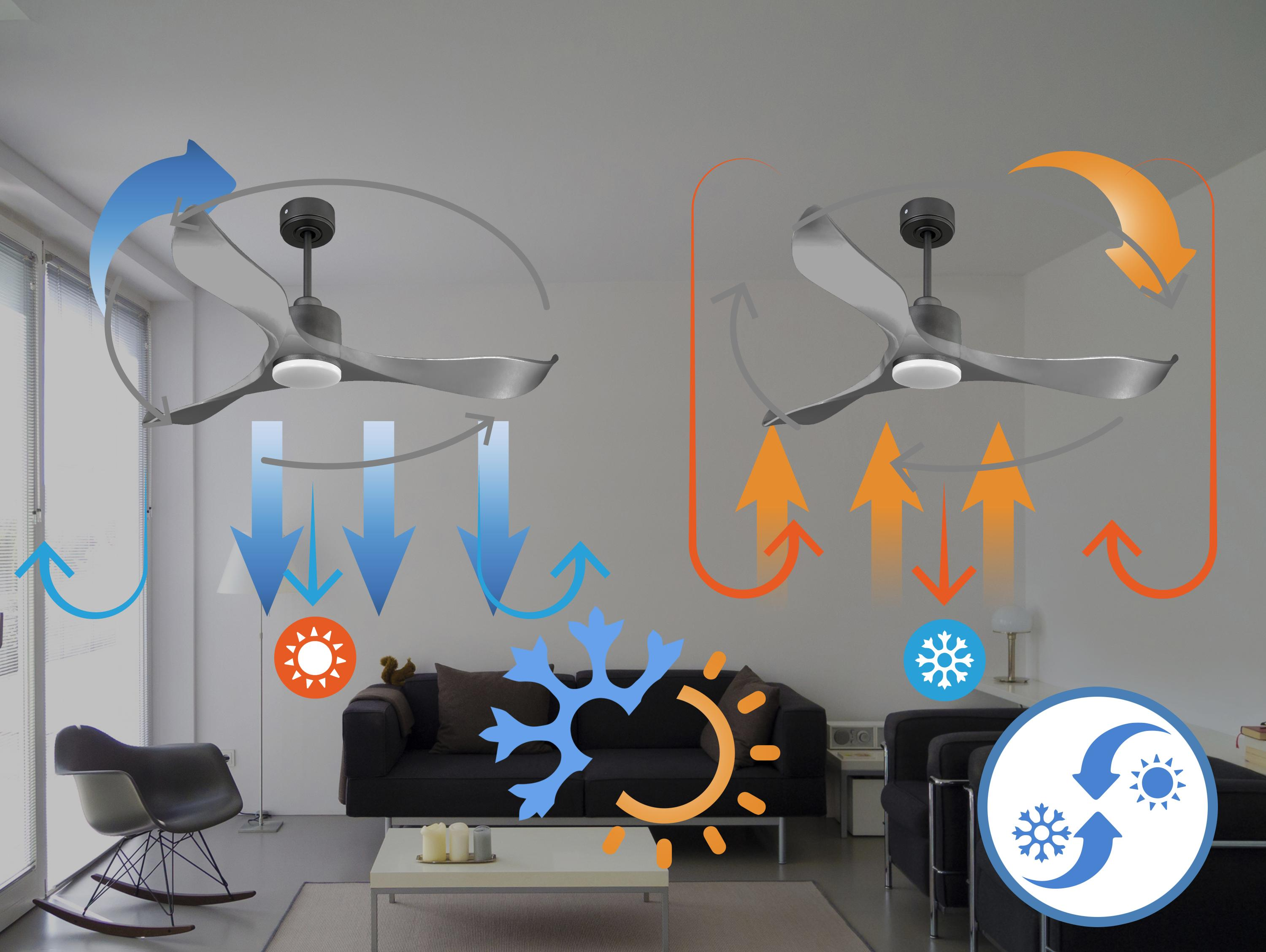Diagrama que muestra la circulación del aire con un ventilador de techo en verano e invierno.
