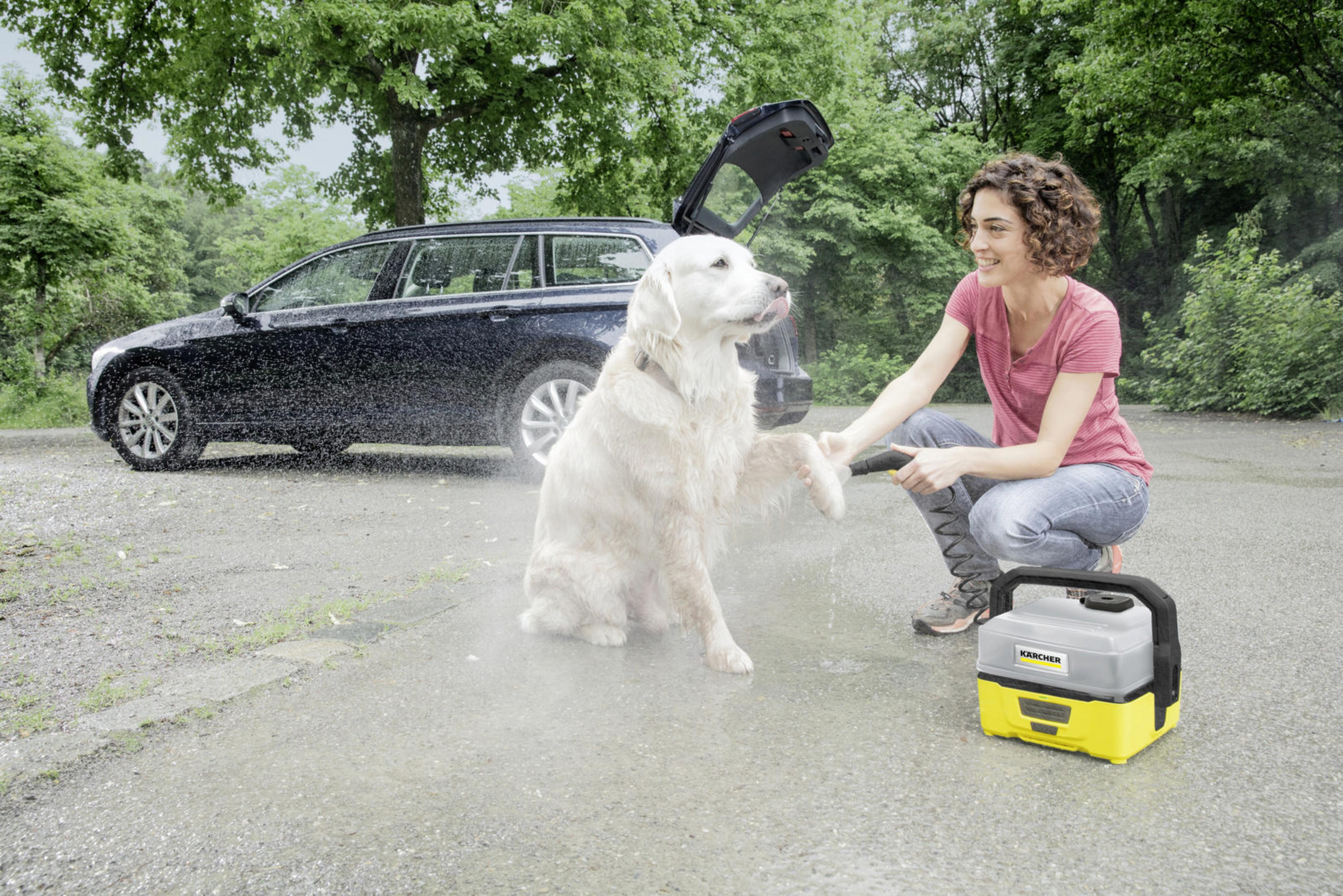 Une femme lave un golden retriever avec une machine Kärcher. Une voiture noire est en arrière-plan.