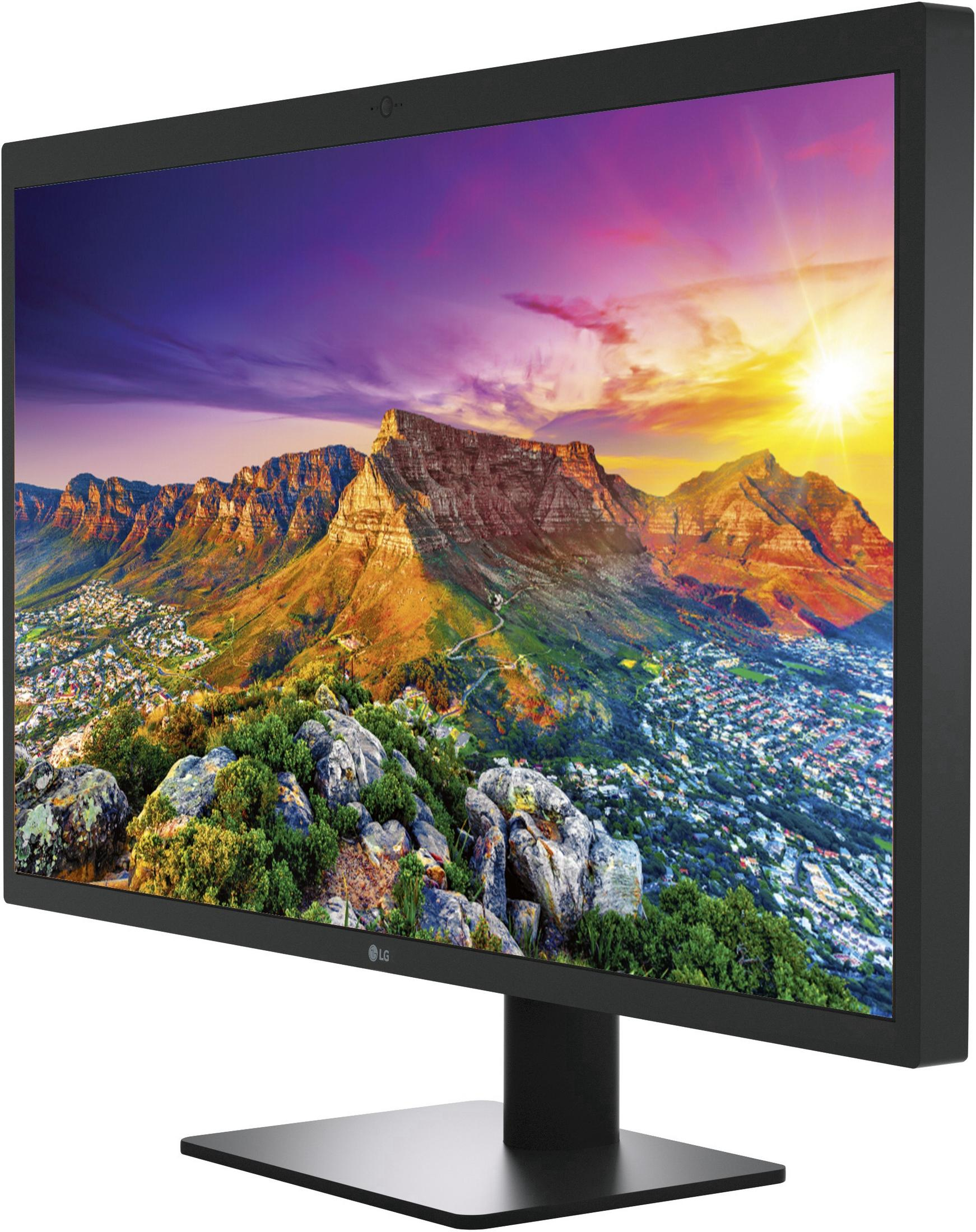 Ein schwarzer Computermonitor mit einer bunten Landschaft auf dem Bildschirm. Mit Webcam.