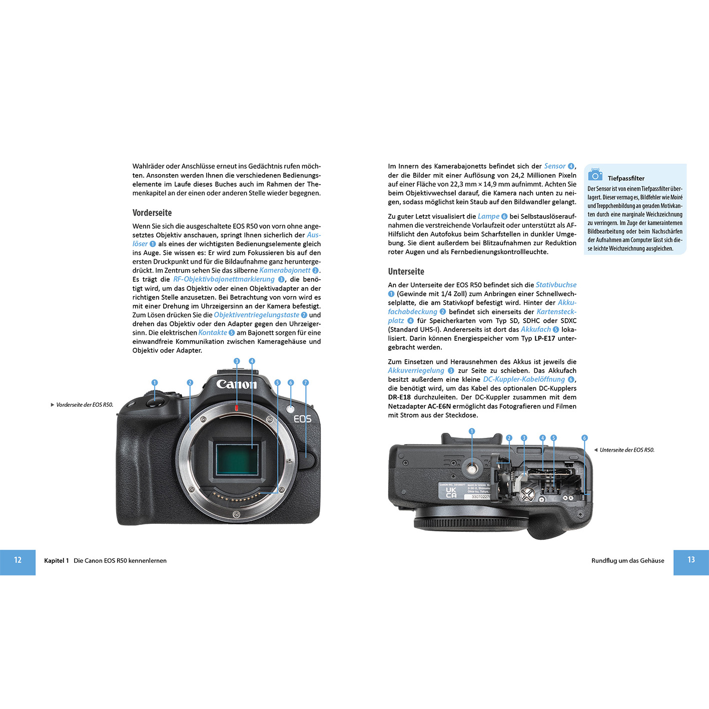 Canon EOS Kamera, offenes Buch mit Kamera-Diagramm, Canon-Logo.