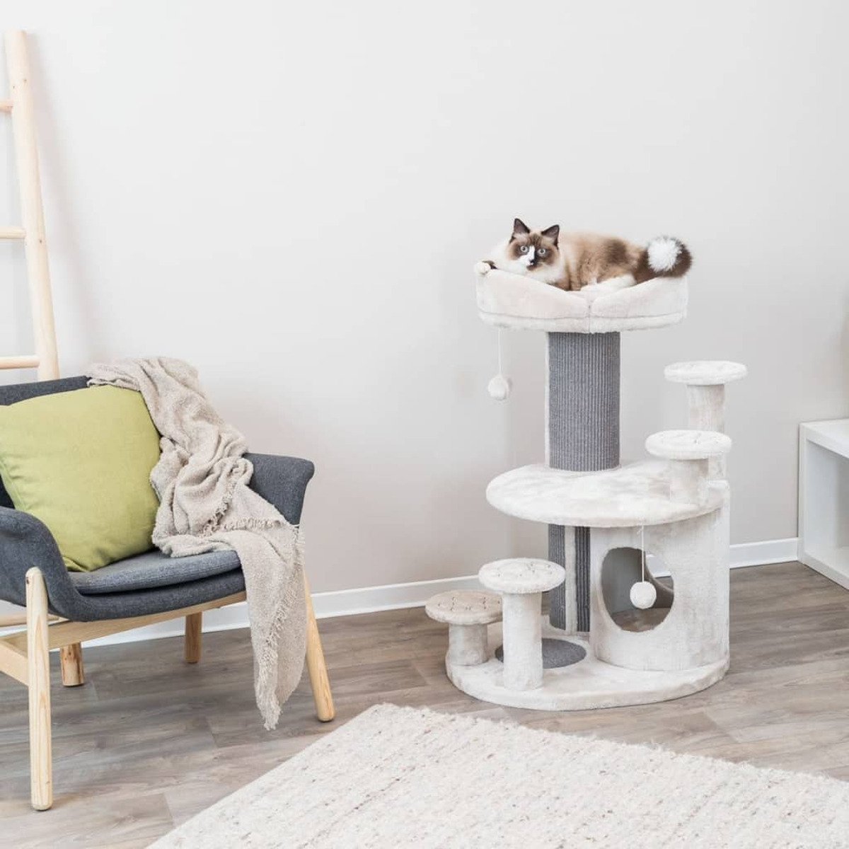Gatto su tiragraffi bianco e grigio; sedia con coperta; tappeto su pavimento in legno.