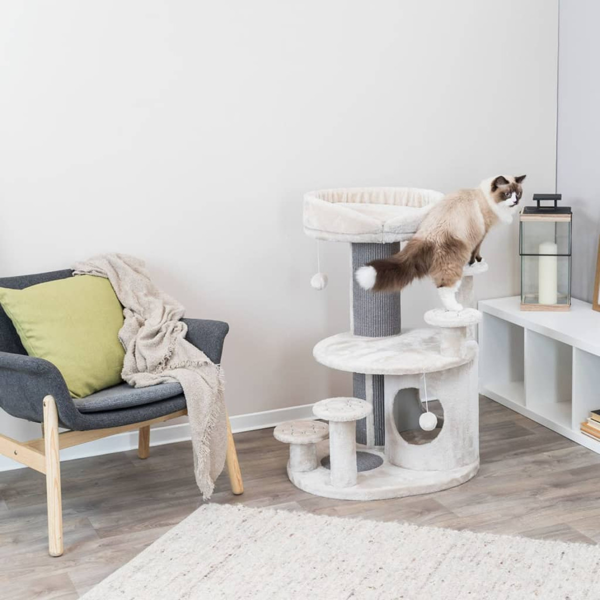 Albero per gatti, gatto in cima, livelli multipli, beige, grigio e bianco, interno stanza.