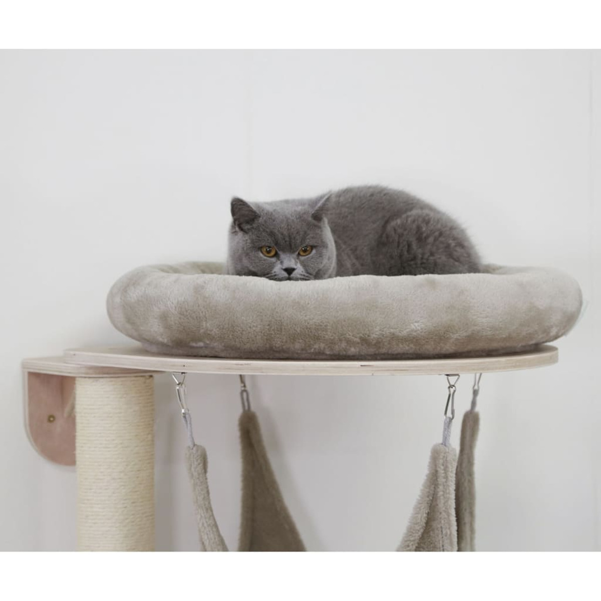 Eine graue Katze liegt in einem runden Bett auf einer Katzenbaumplattform. Hängematten hängen darunter.