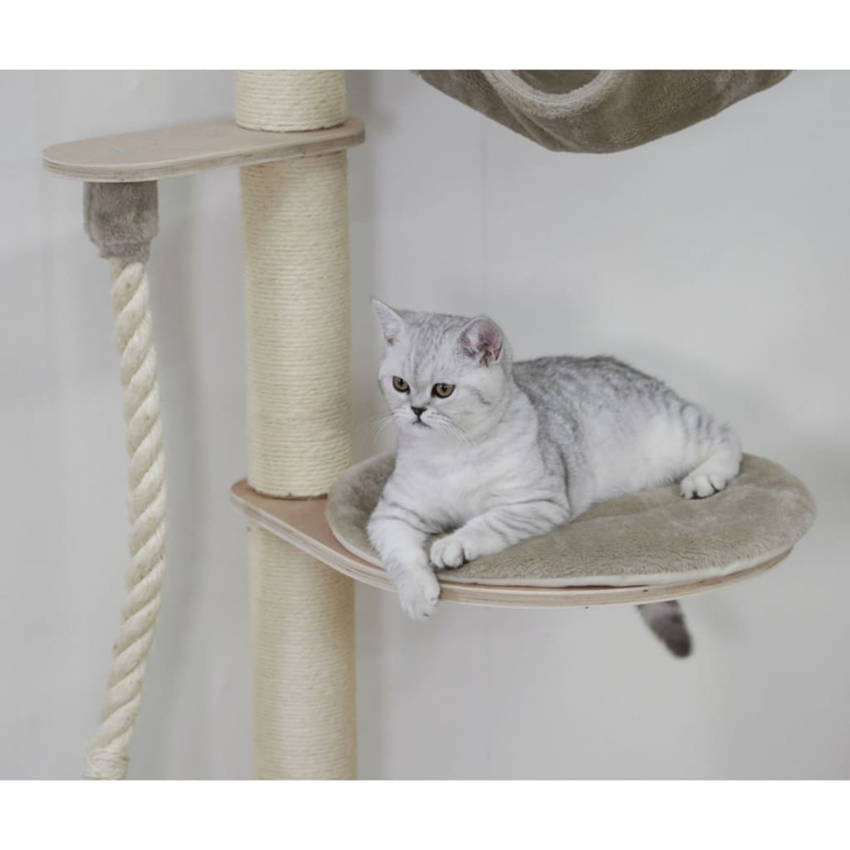 Un gatto argentato riposa su una piattaforma di un albero per gatti con corda e amaca sospesa.