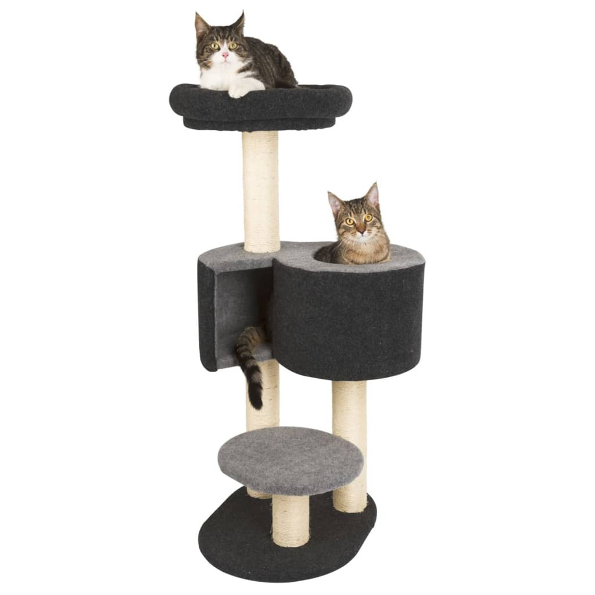 Zwei Katzen auf einem Katzenbaum. Eine oben, die andere in einem Versteck.