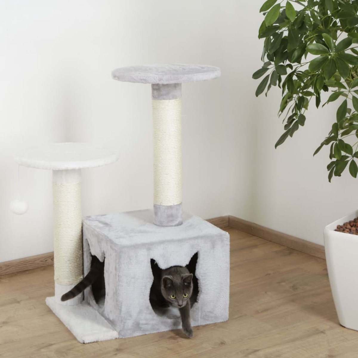 Katzenbaum mit zwei Plattformen. Eine Katze ist drin und geht raus. Weißer Hintergrund.
