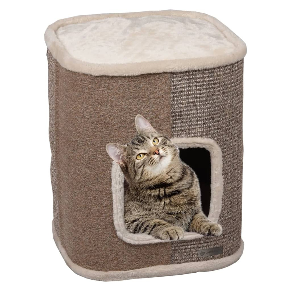 Eine getigerte Katze, die aus einem Katzenhaus nach oben schaut. Das Haus ist braun.