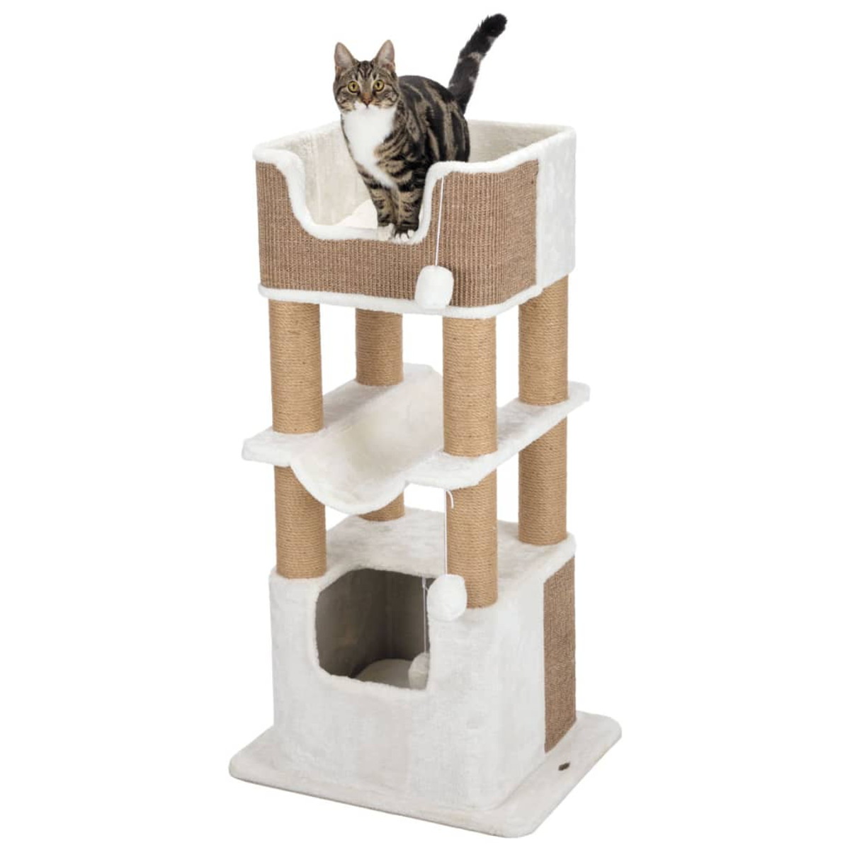 Gatto su un albero per gatti a più livelli. Sfondo bianco.