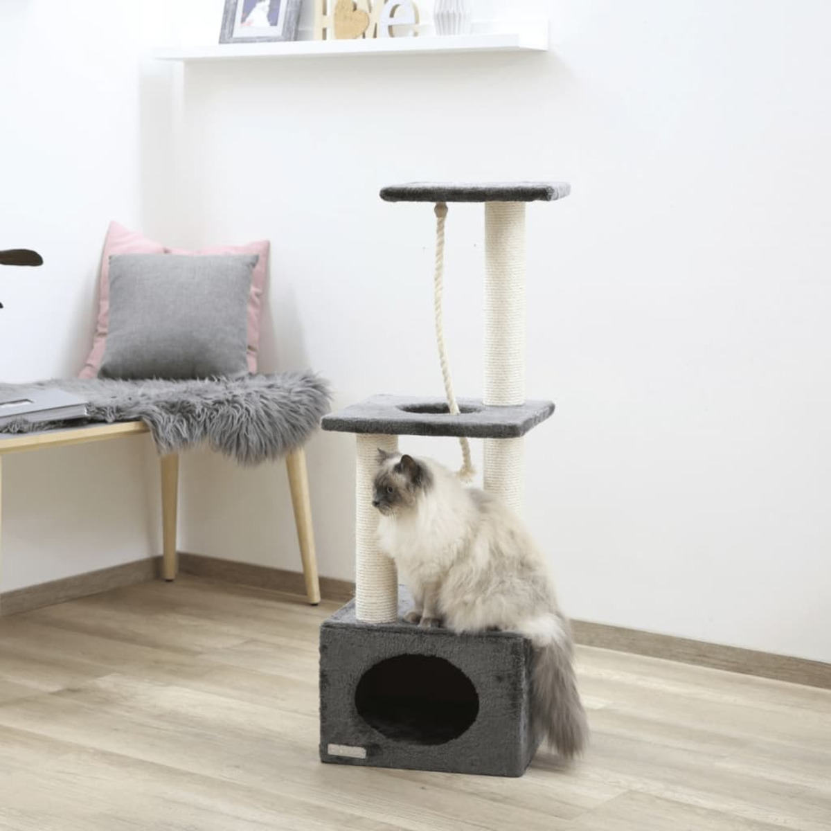Eine Katze sitzt auf einem Kratzbaum in einem Zimmer. Die Katze hat langes Fell.