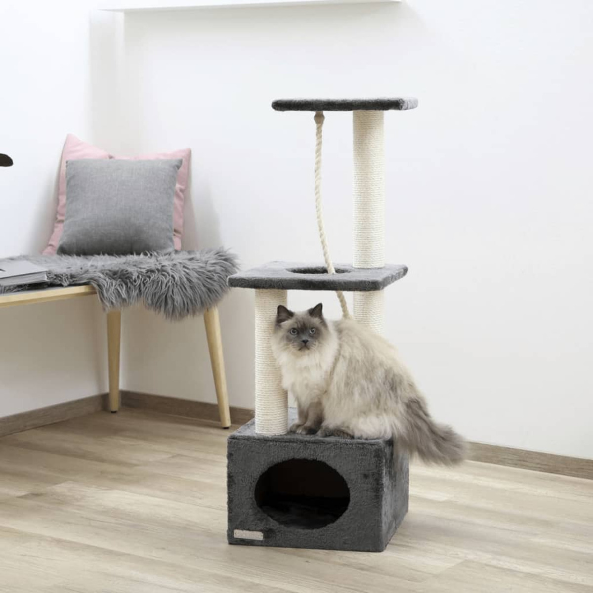 Katze sitzt auf einem Kratzbaum in einem Raum. Beiger Holzboden und weiße Wand.