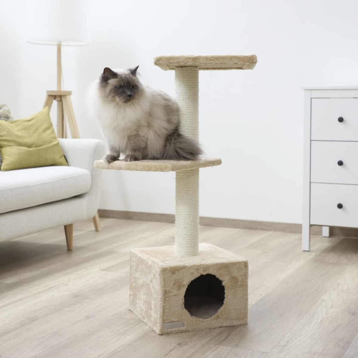 Katze auf beigem Katzenbaum. Weiße Wand, Fenster und Sofa im Hintergrund.