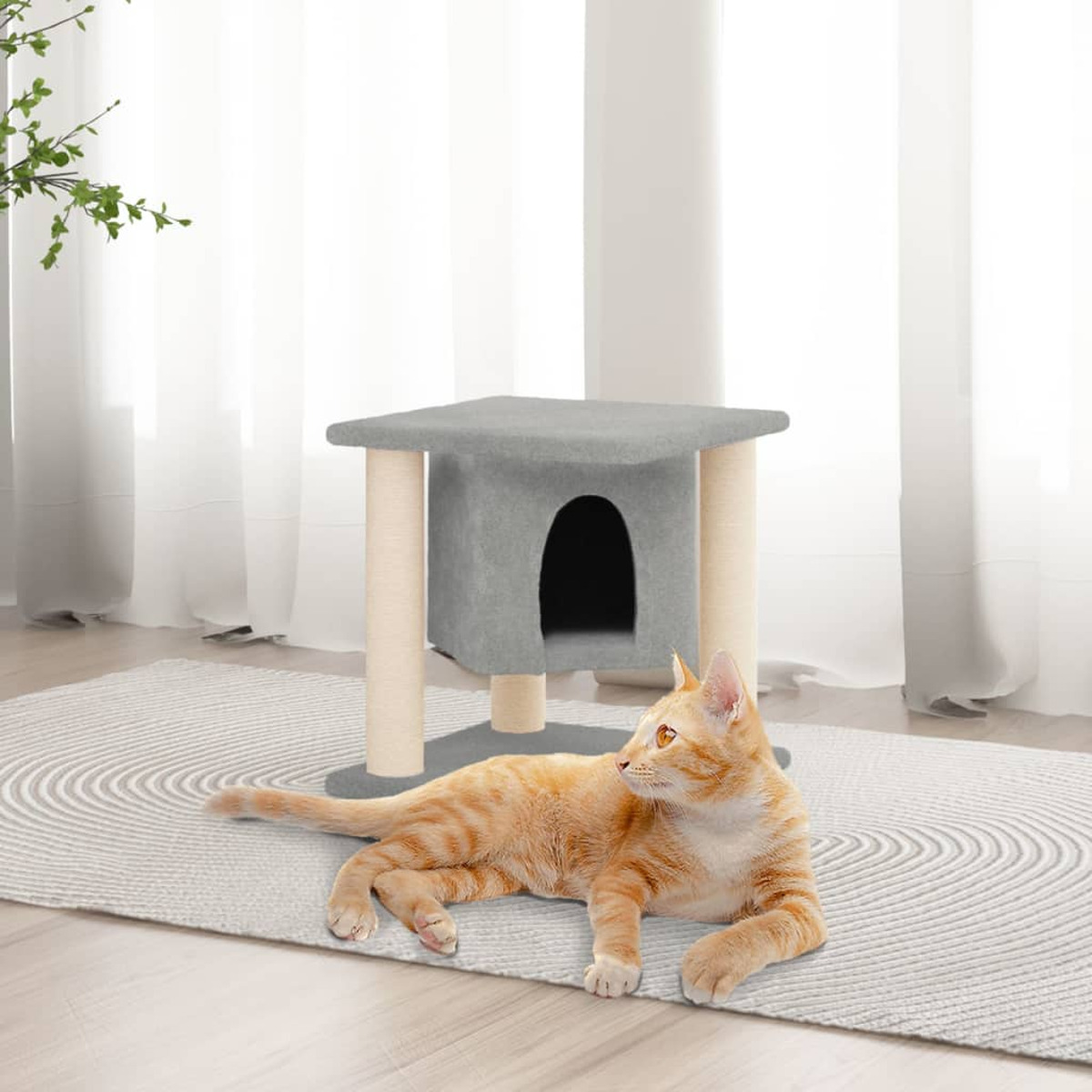 Orange Katze neben Kratzbaum auf Teppich, Fenster im Hintergrund.