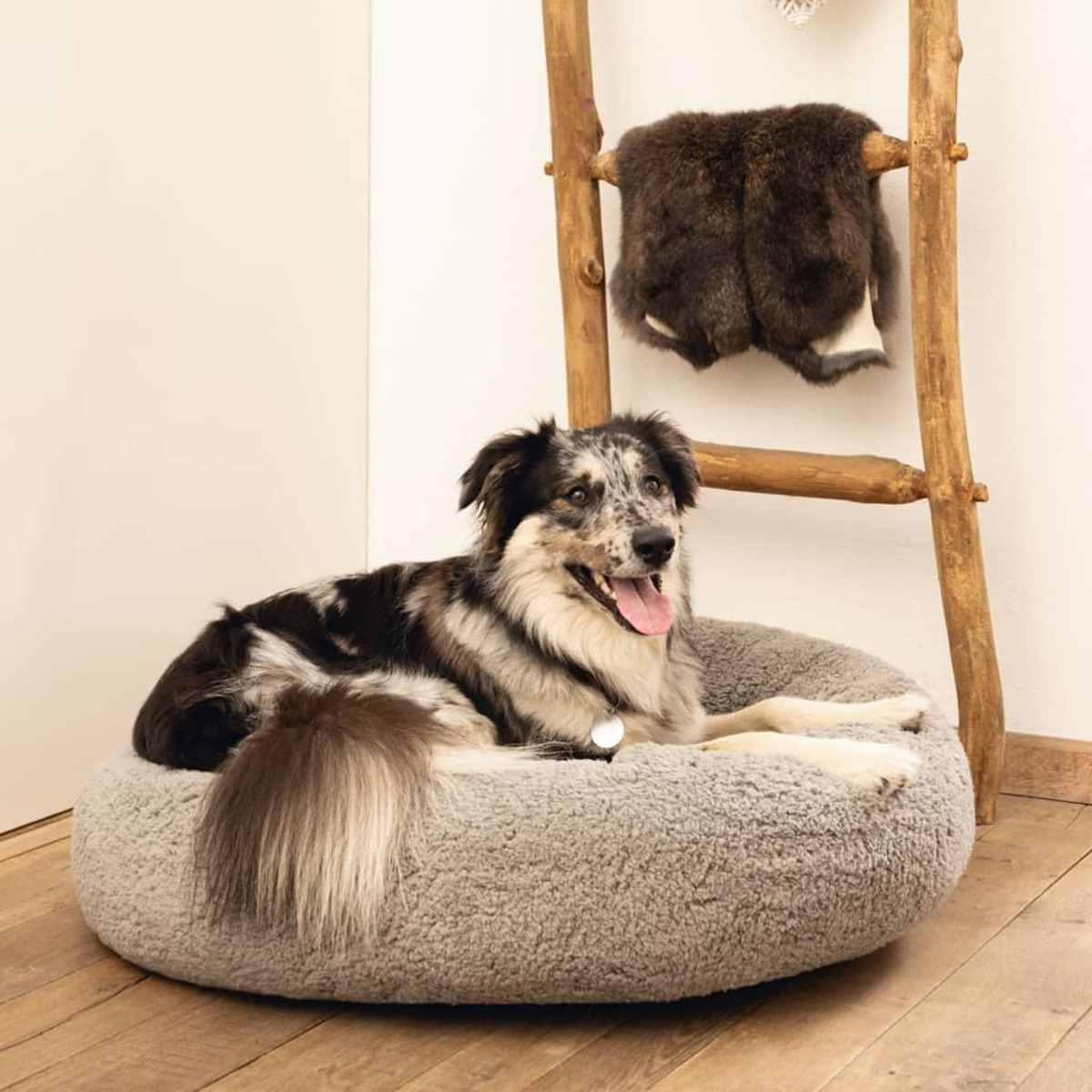 Ein Hund liegt auf einem grauen, flauschigen Bett. Eine Holzleiter und ein Pelzüberwurf sind im Hintergrund.