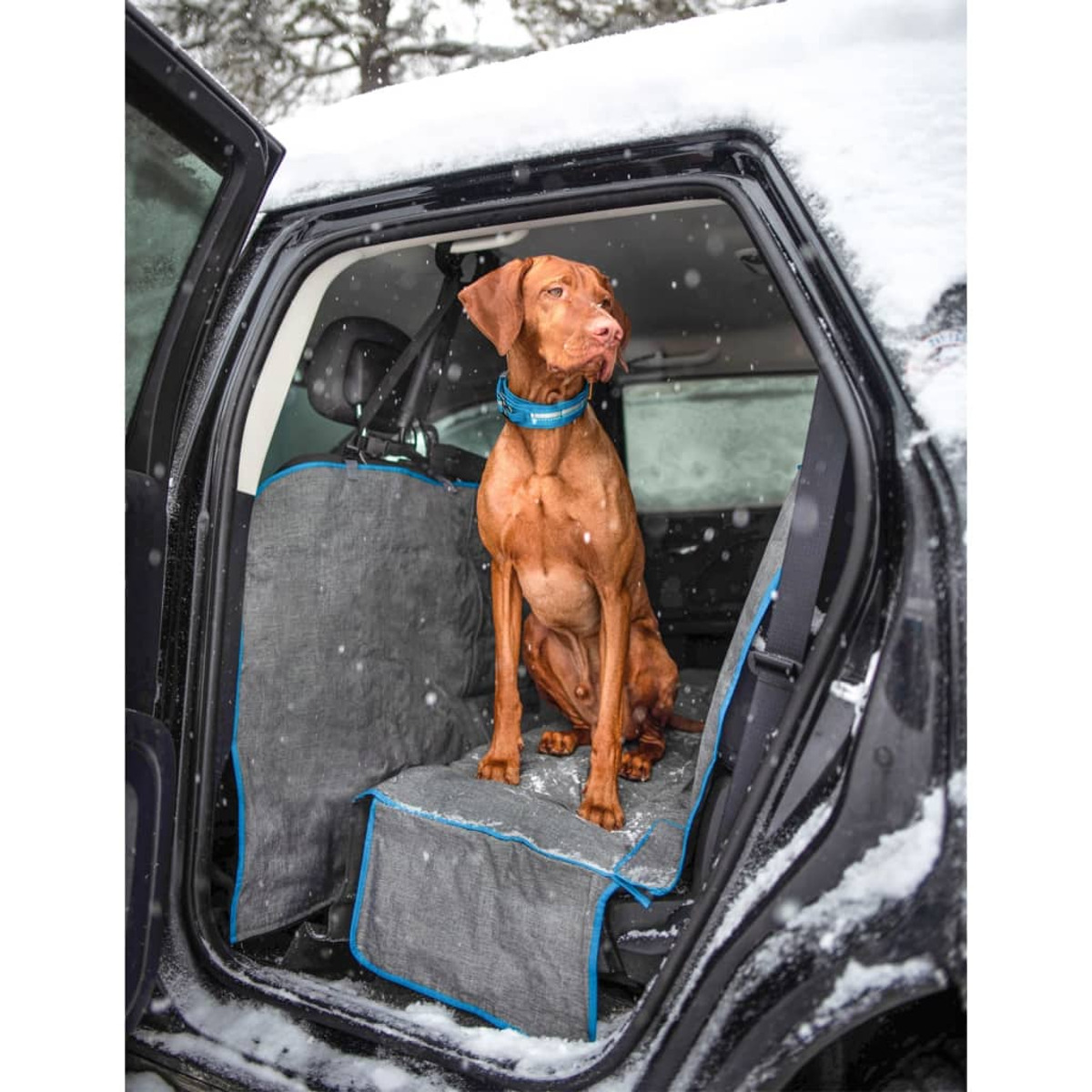 Brauner Hund in einem Auto mit grauen Sitzbezügen. Schnee draußen am Fenster.