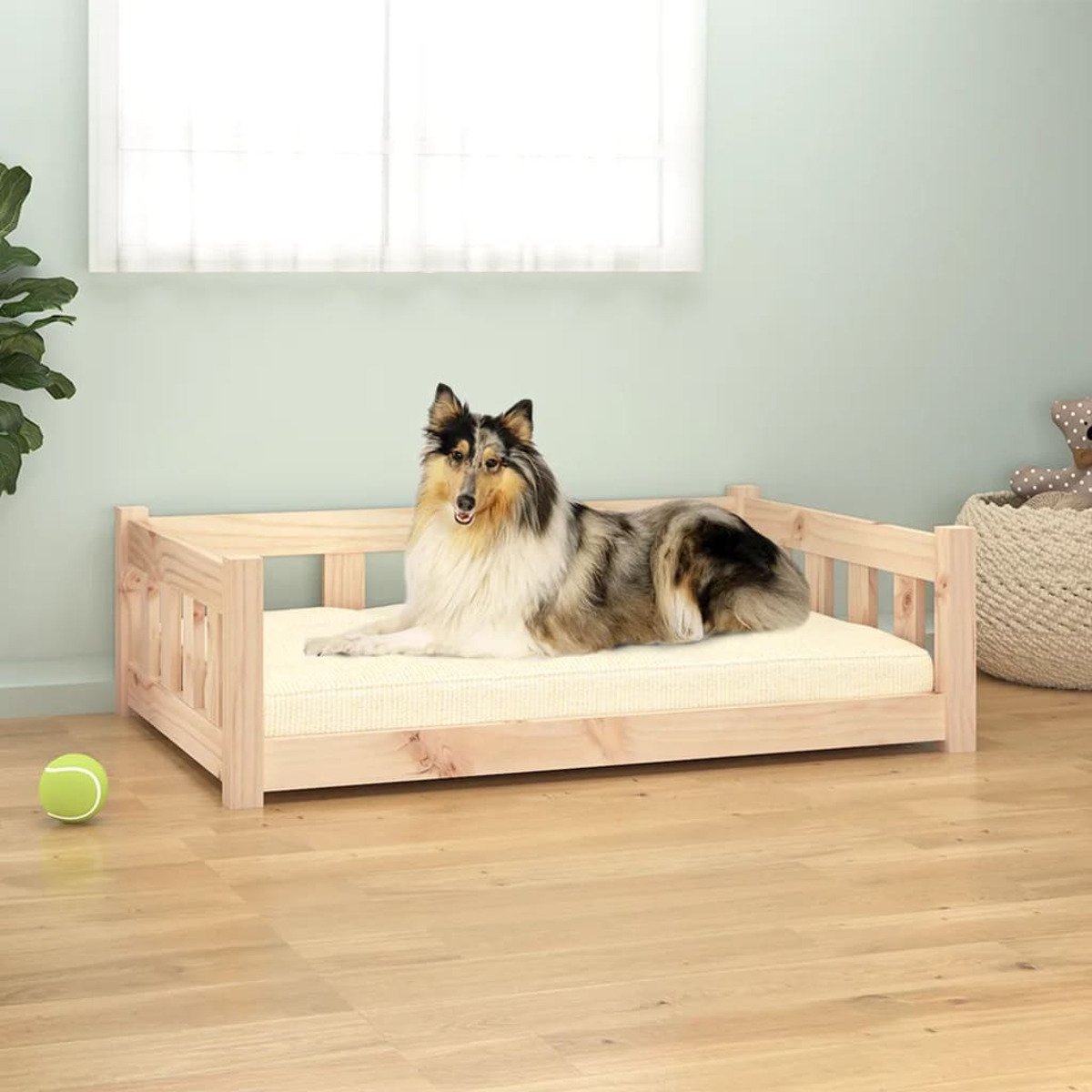 Hundebett in einem Raum. Hund ruht auf dem Bett. Grüner Tennisball liegt auf dem Boden.