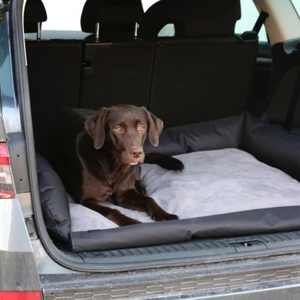 Un cane marrone è sdraiato sul retro di un'auto su una cuccia.