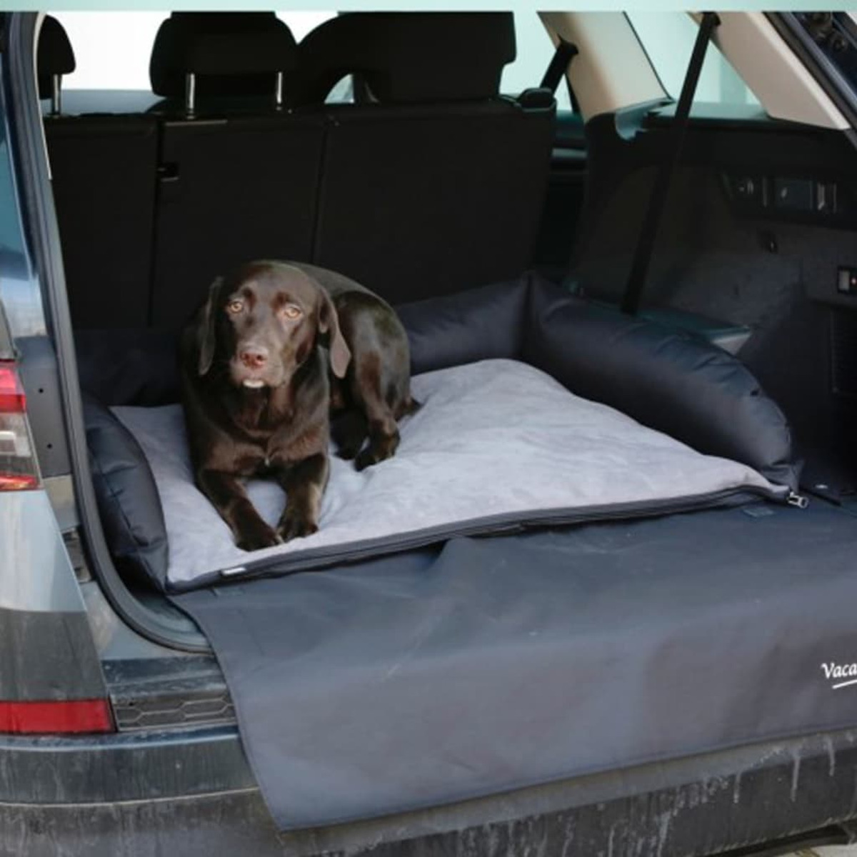 Cane nel bagagliaio su letto. Cane nero, letto grigio, bagagliaio nero.