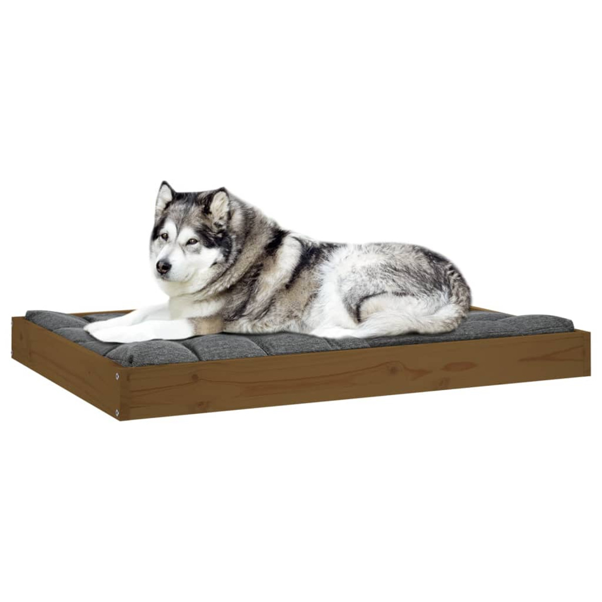 Ein grau-weißer Husky-Hund liegt auf einem braunen Hundebett aus Holz.
