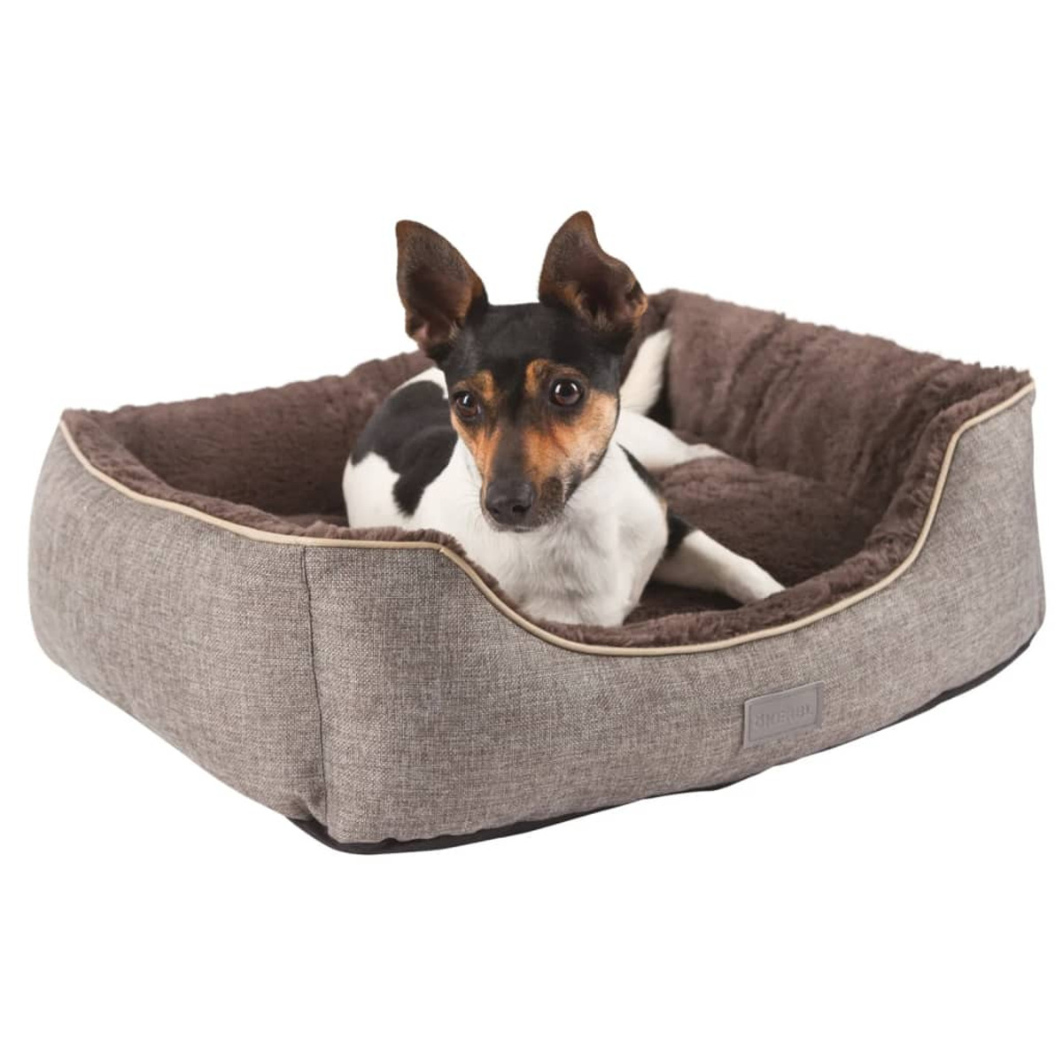 Hund in einem Bett. Der Hund ist schwarz, weiß und braun. Das Bett ist braun und grau.