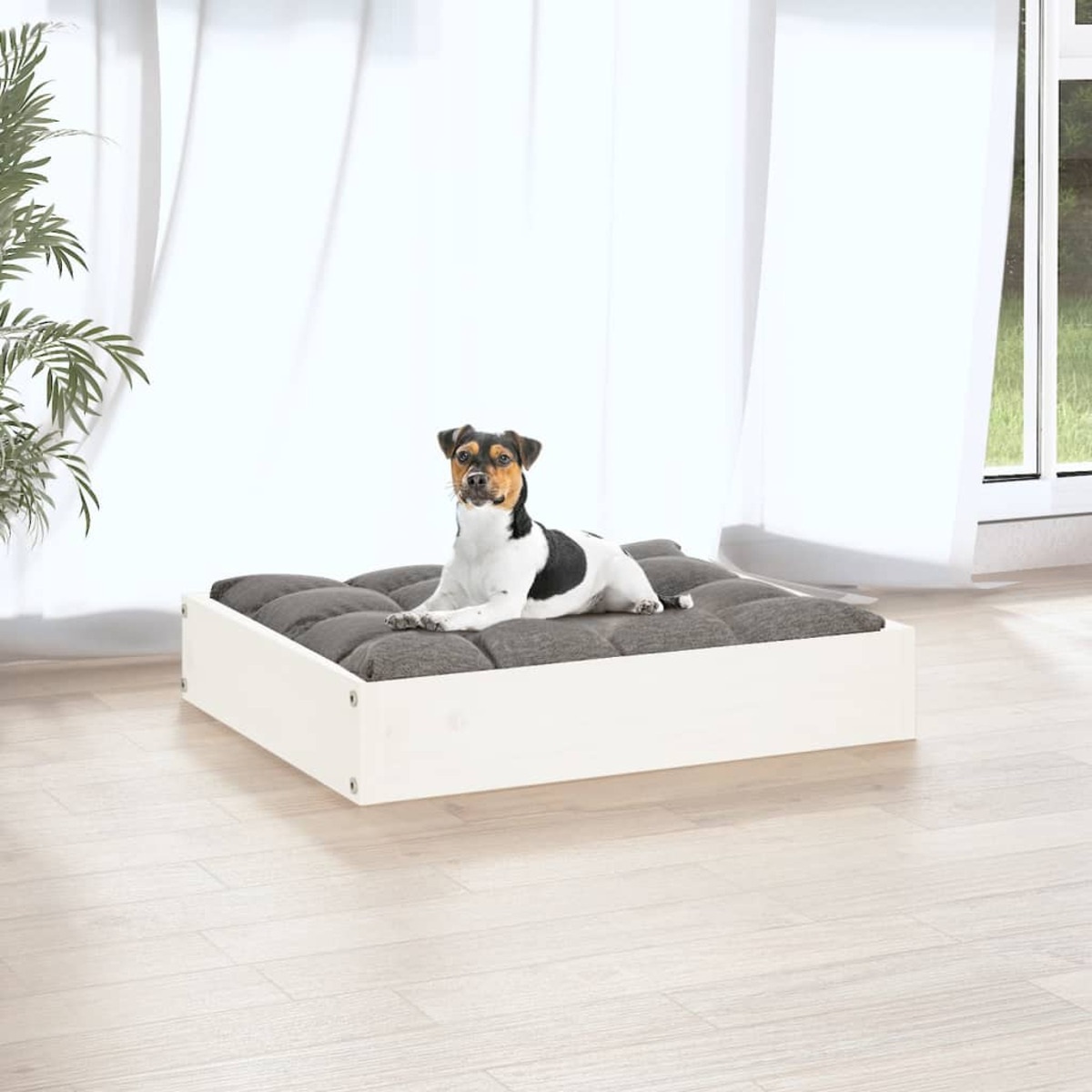 Hund auf einem grauen Bett. Das Bett ist weiß mit einem grauen Kissen. Heller Holzboden.