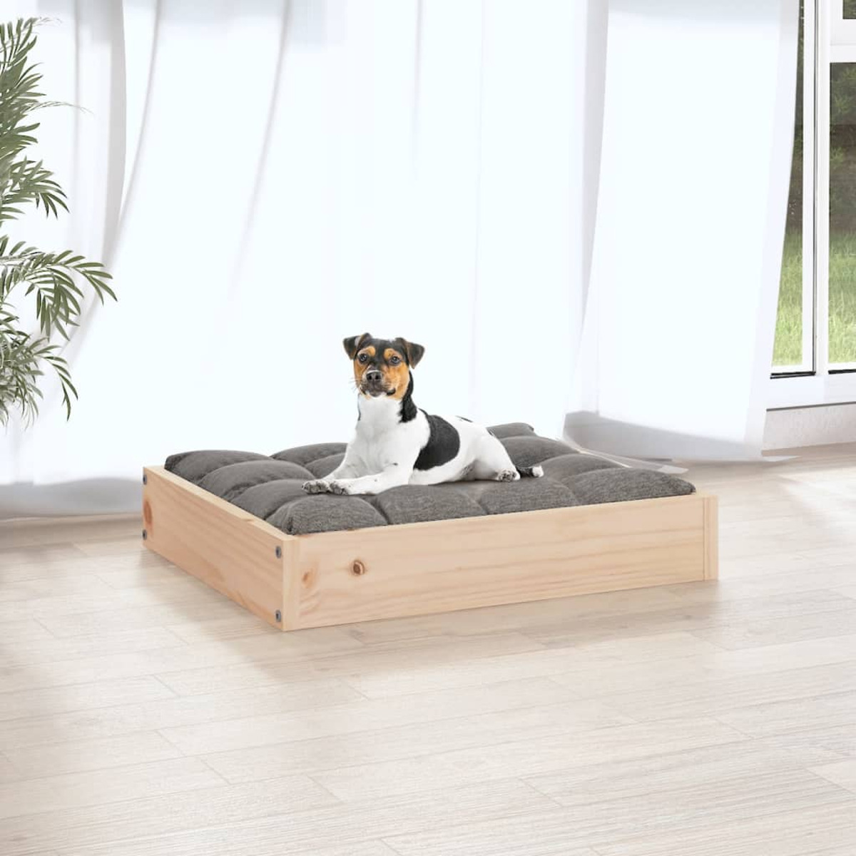 Ein kleiner Hund auf einem grauen Bett in einem Holzrahmen, mit Fenster im Hintergrund.