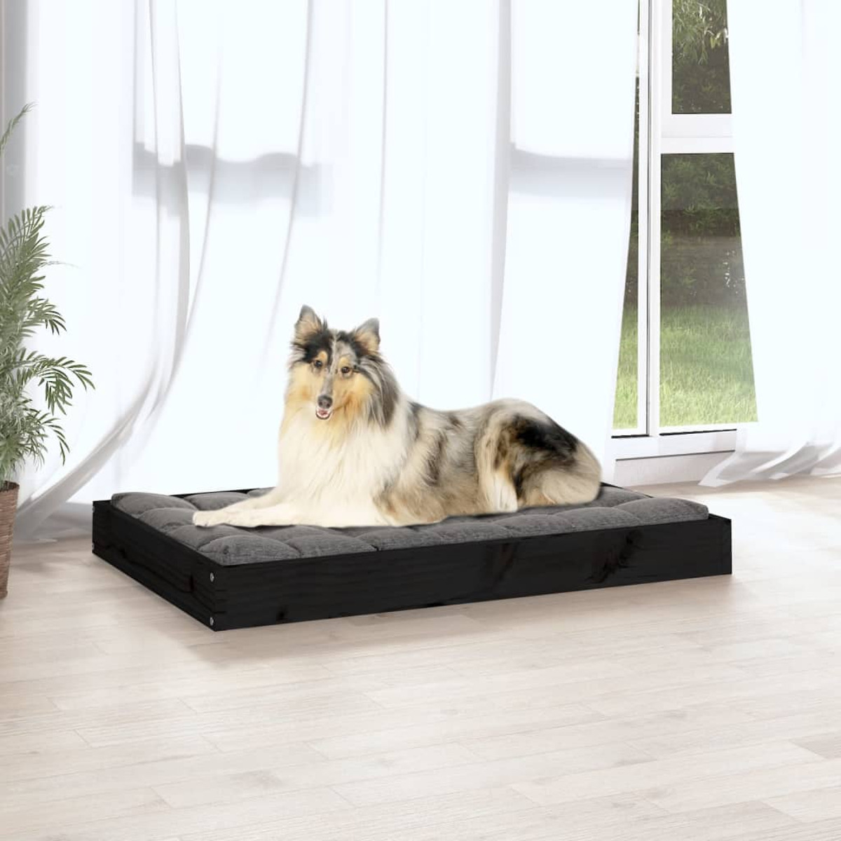 Ein Hund liegt auf einem Bett. Das Bett ist schwarz mit einem grauen Kissen. Ein Fenster befindet sich hinter dem Hund.