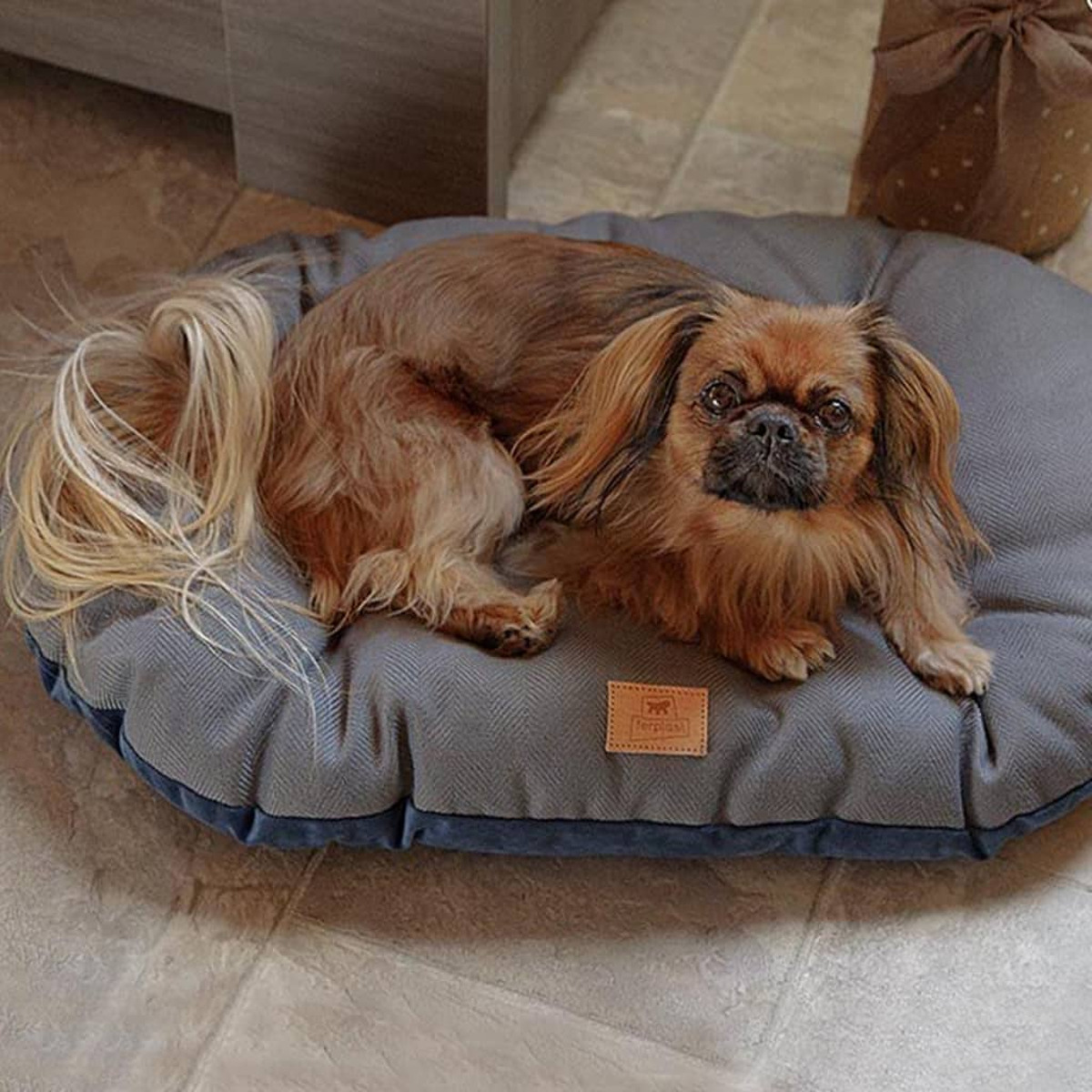 Cagnolino marrone sdraiato su un letto grigio. Coda a sinistra, testa a destra.