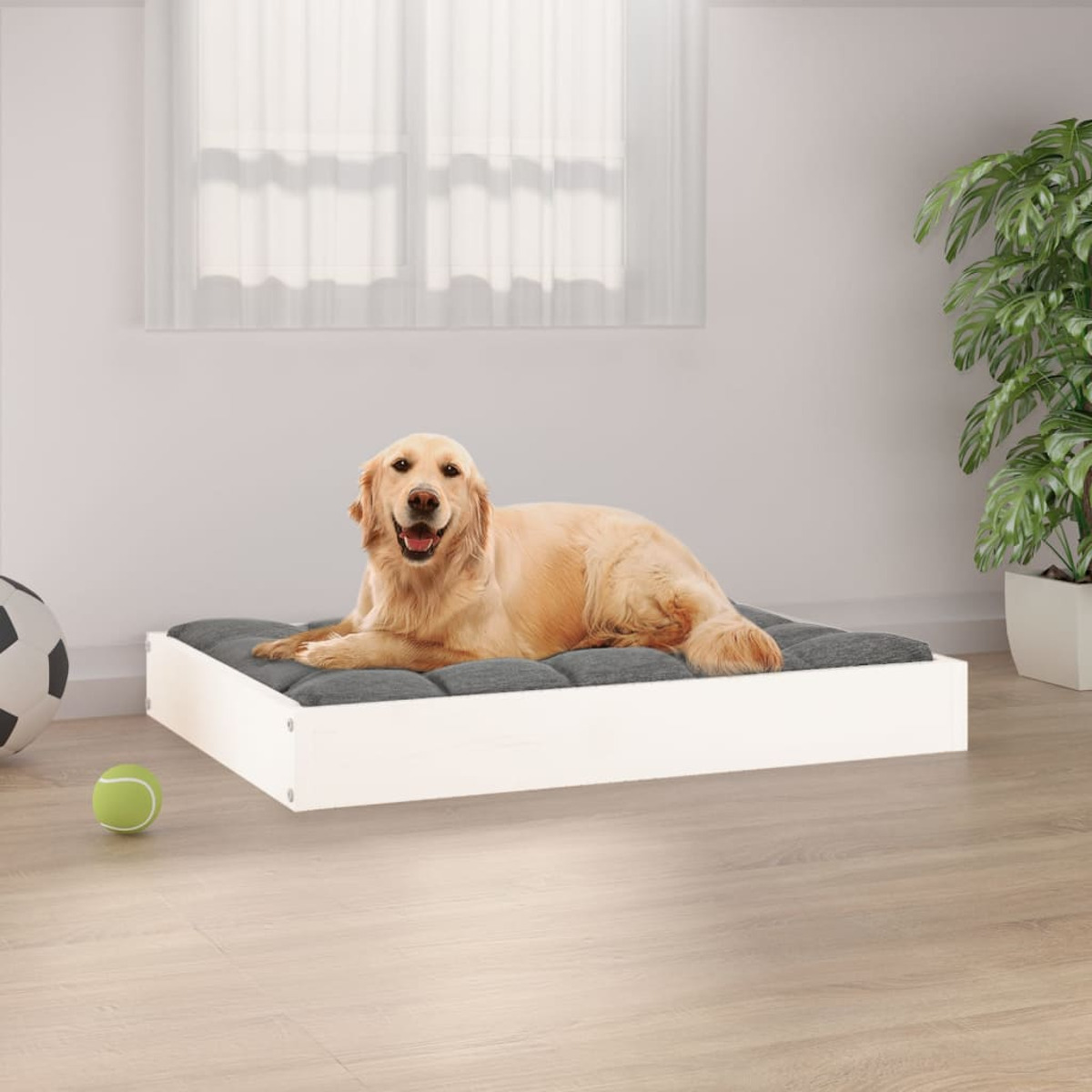 Golden Retriever liegt auf grauem Bett in weißem Rahmen.