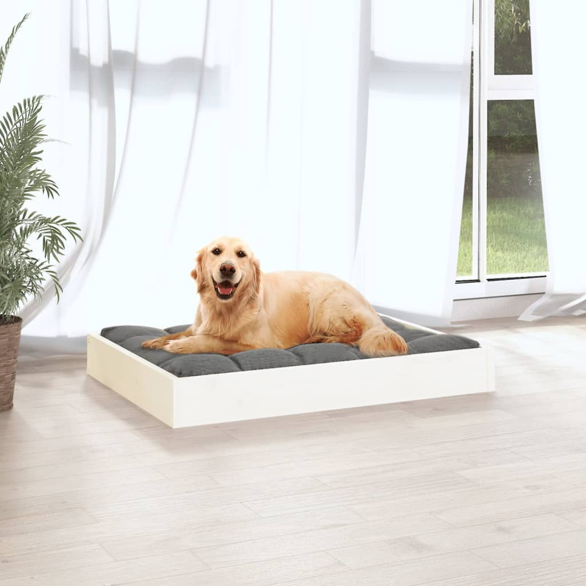 Ein Hund auf einem grauen Bett in einem weißen Rahmen, der auf einem Holzboden sitzt.