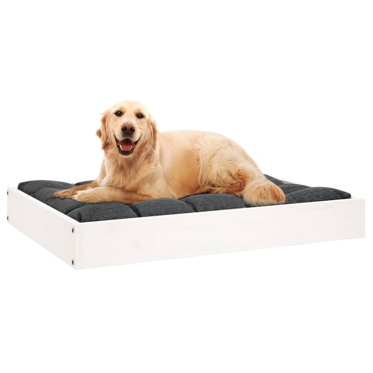 Golden Retriever auf einem grauen Hundebett mit weißem Rahmen.