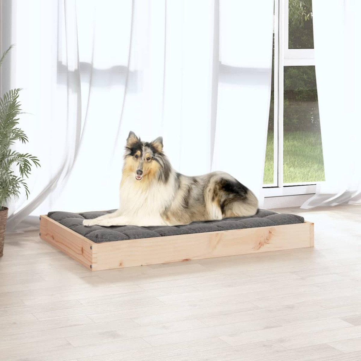 Hund auf einem grauen Bett in einem Holzrahmen, vor einem Fenster mit transparenten Vorhängen.