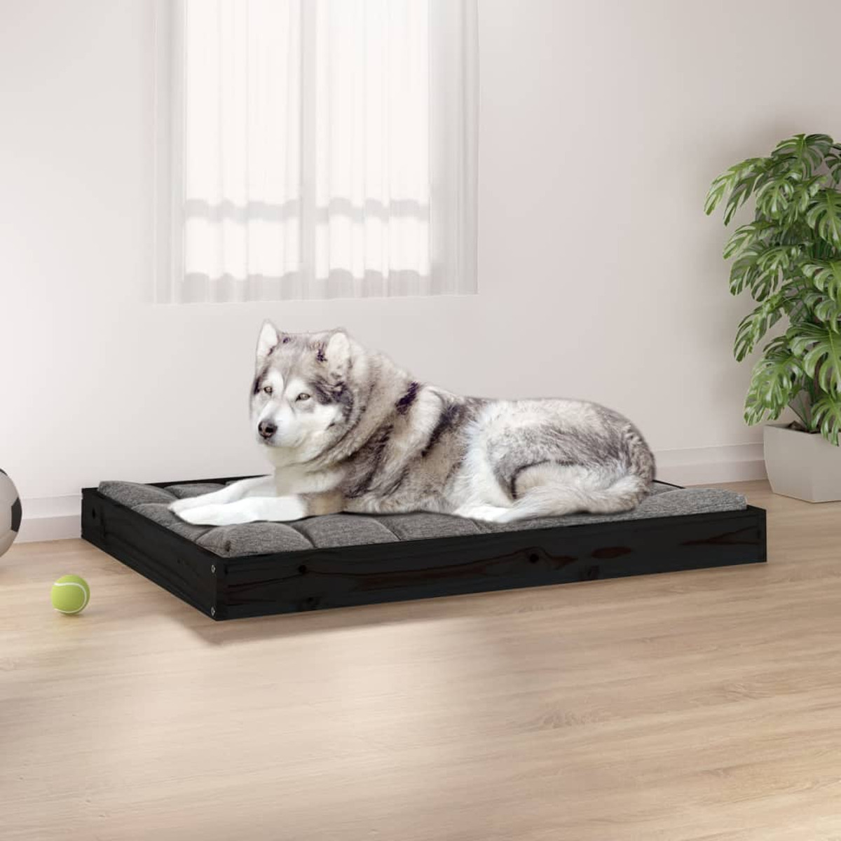 Hund liegt auf Holzrahmen-Hundebett. Grüner Ball in der Nähe des Bettes.