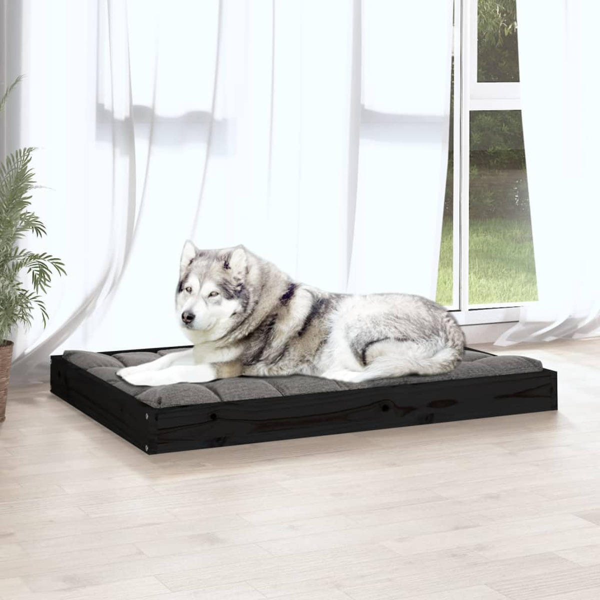 Husky-Hund liegt auf einem Hundebett. Das Bett ist dunkel und hölzern, am Fenster.