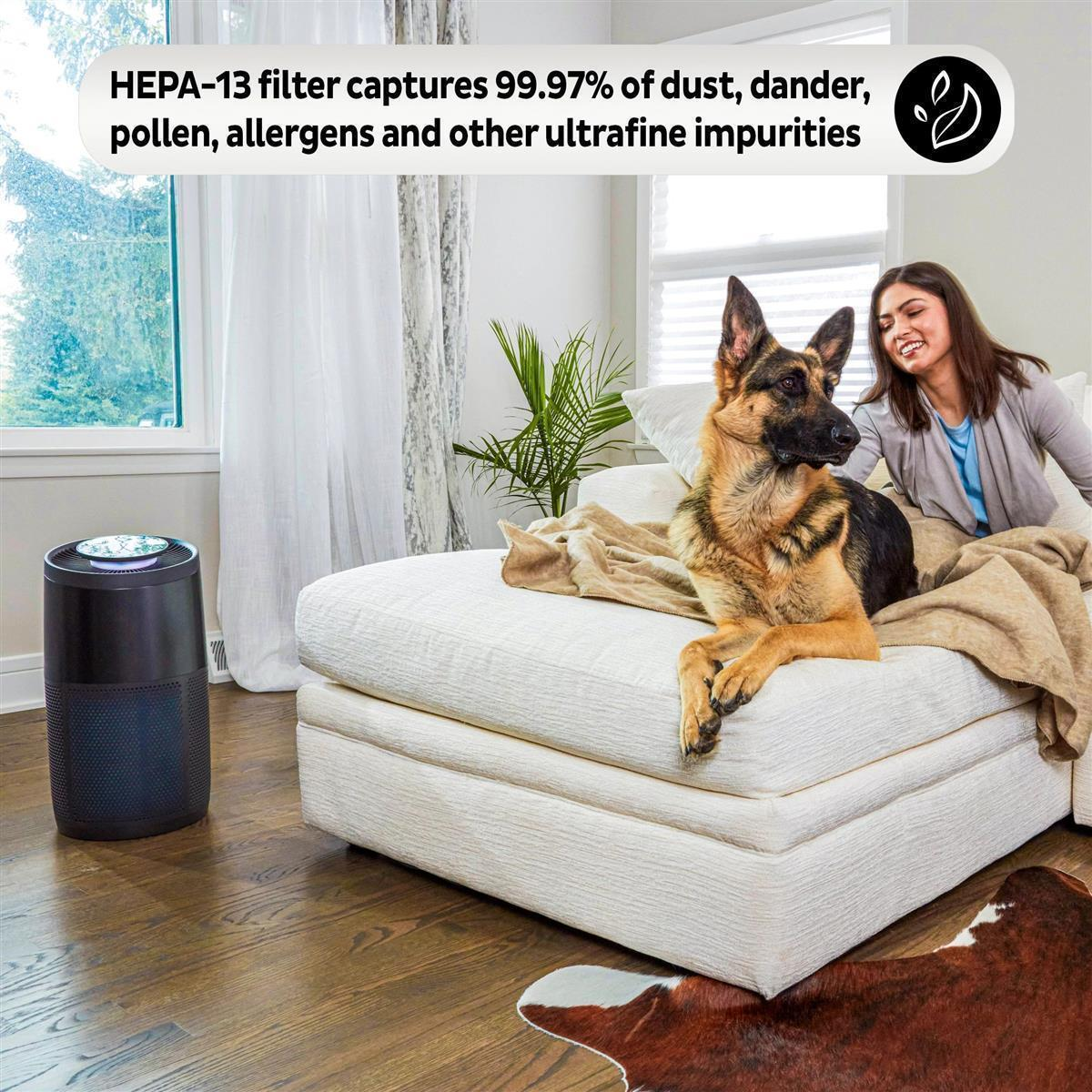 Cane vicino al purificatore d'aria. Testo: Il filtro HEPA-13 cattura il 99,97% di polvere, forfora...