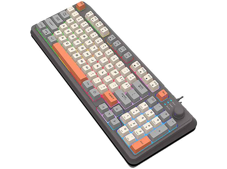 SYNTEK Membrantastatur Triple Patchwork Farbe beleuchtete mechanische Tastatur Gaming Büro, Tastatur, Mechanical Feel