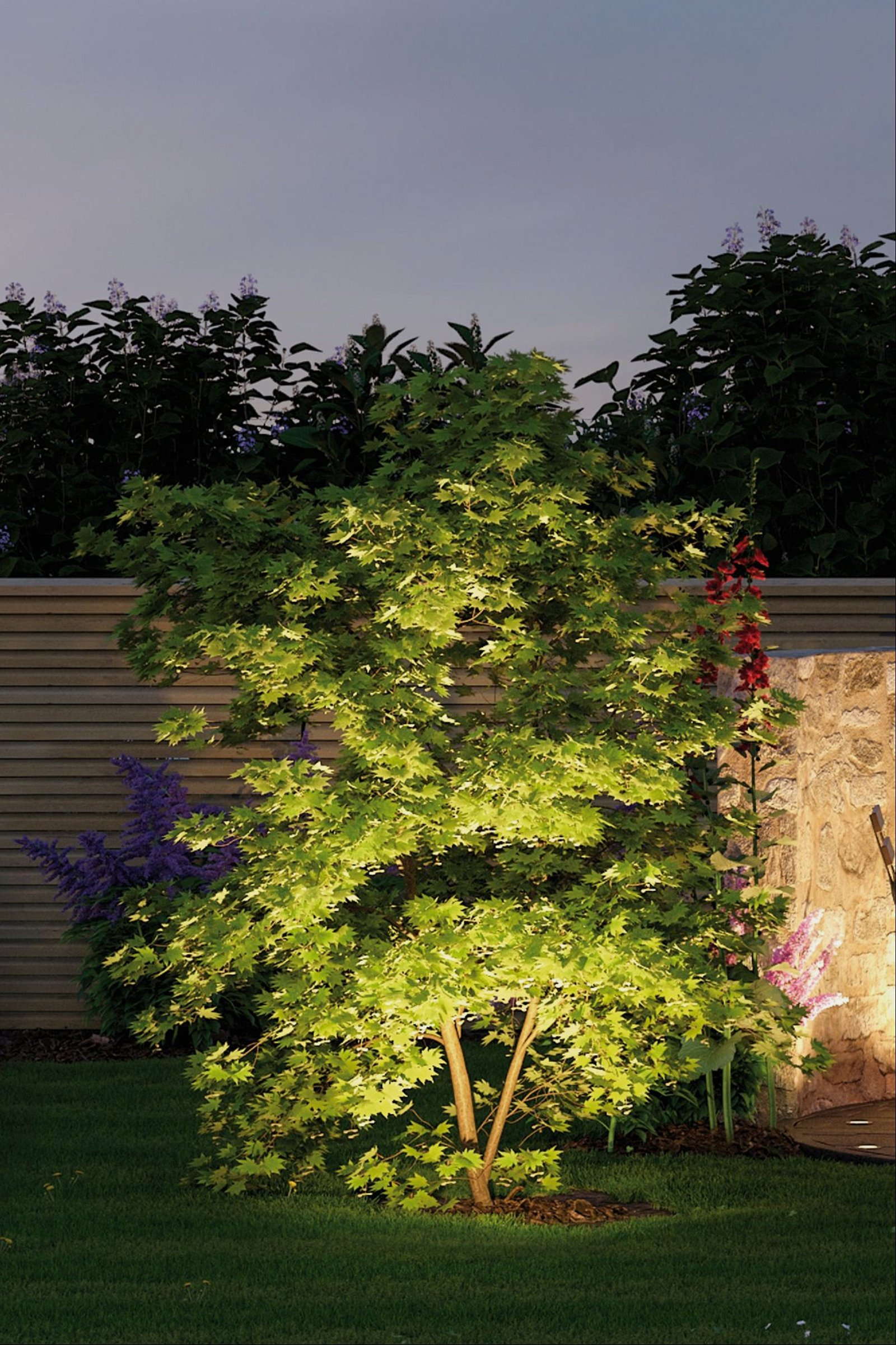 Drzewo oświetlone w nocy w ogrodzie, z innymi roślinami i drewnianym płotem.