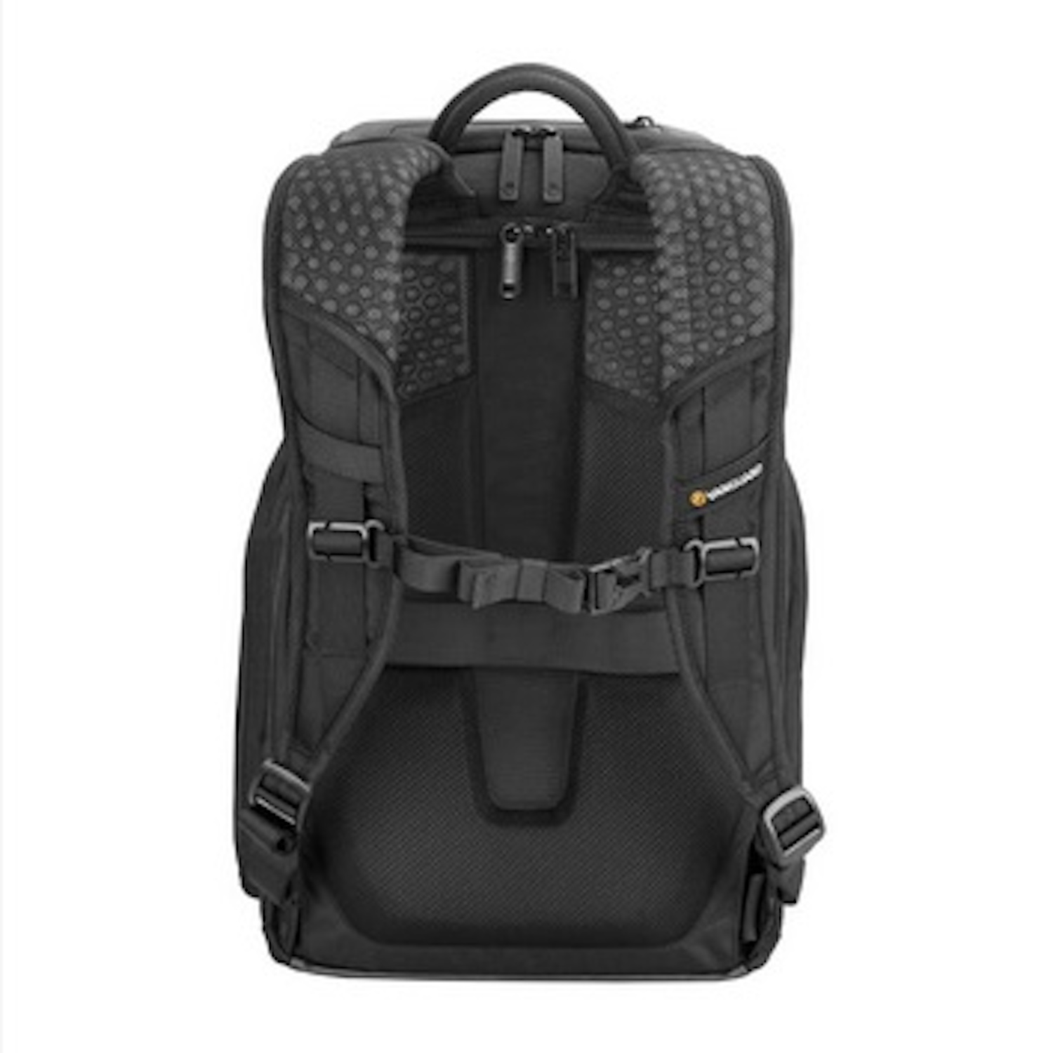 Mochila negra, vista trasera, con correas ajustables y respaldo acolchado, sobre fondo blanco.