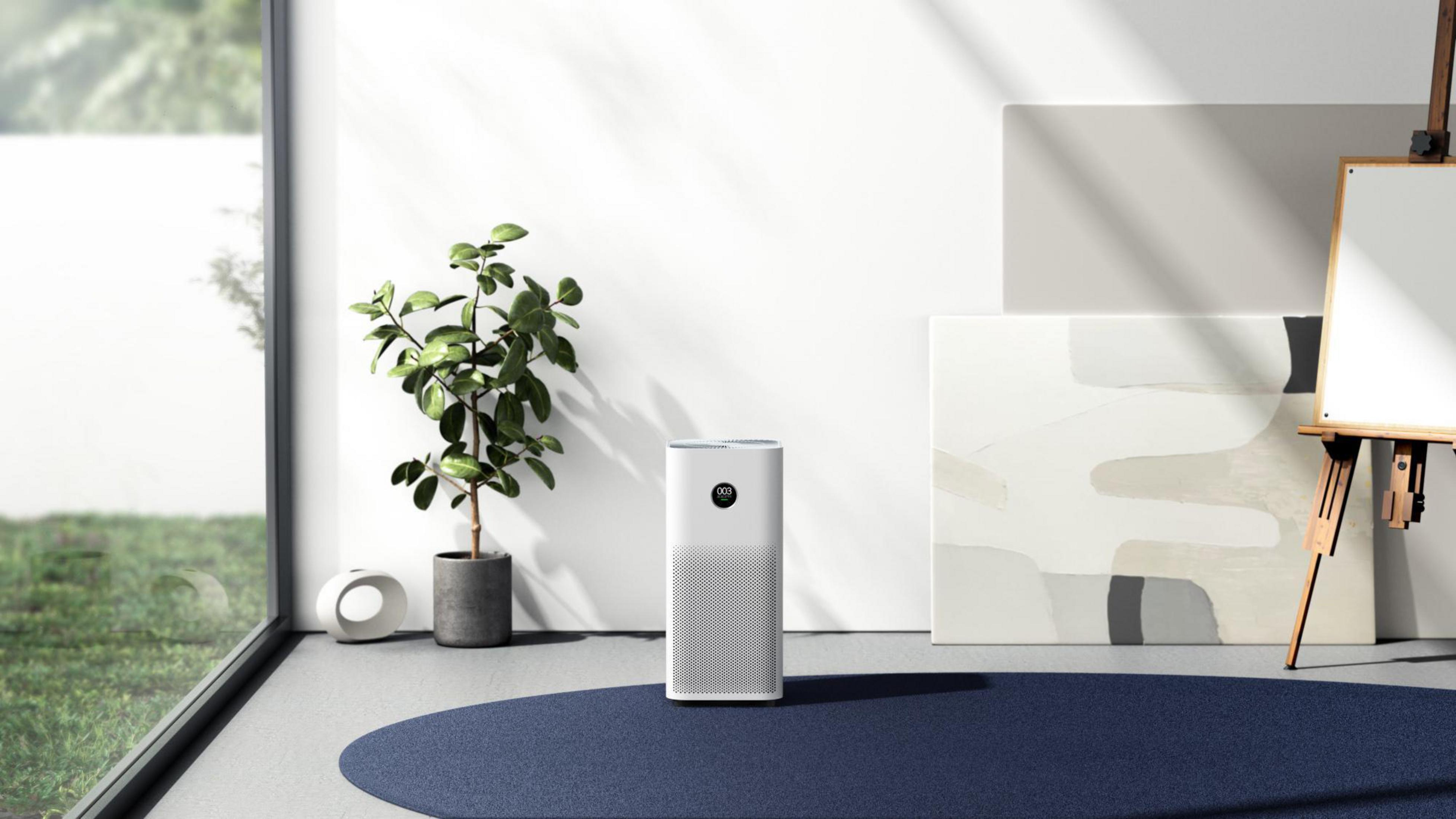 Un purificatore d'aria bianco con display su un tappeto blu, con una pianta e opere d'arte.