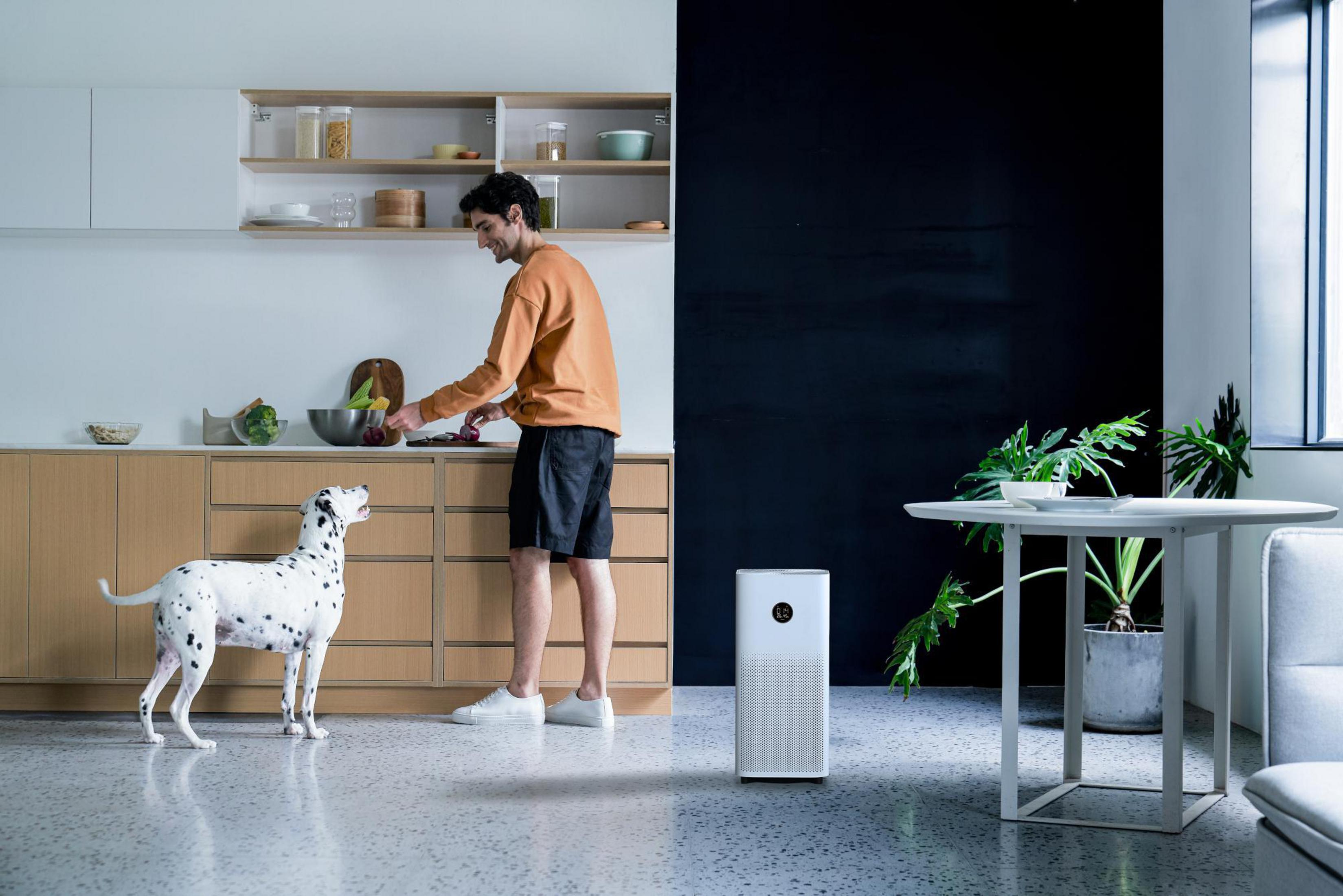 Un uomo prepara cibo, un cane guarda e un purificatore d'aria è nelle vicinanze.