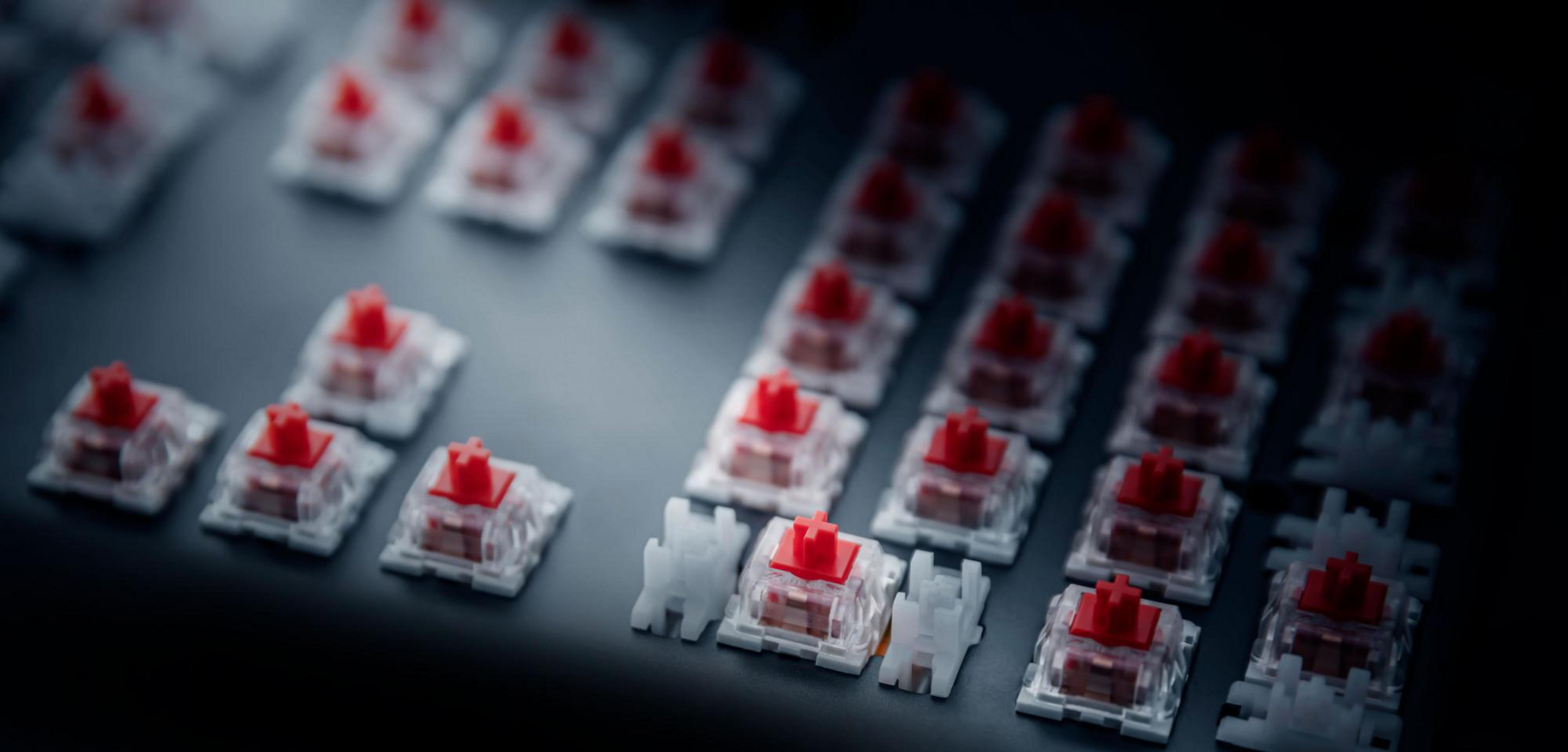 Nahaufnahme von mechanischen Tastaturschaltern. Rote Stiele mit weißen und transparenten Gehäusen.