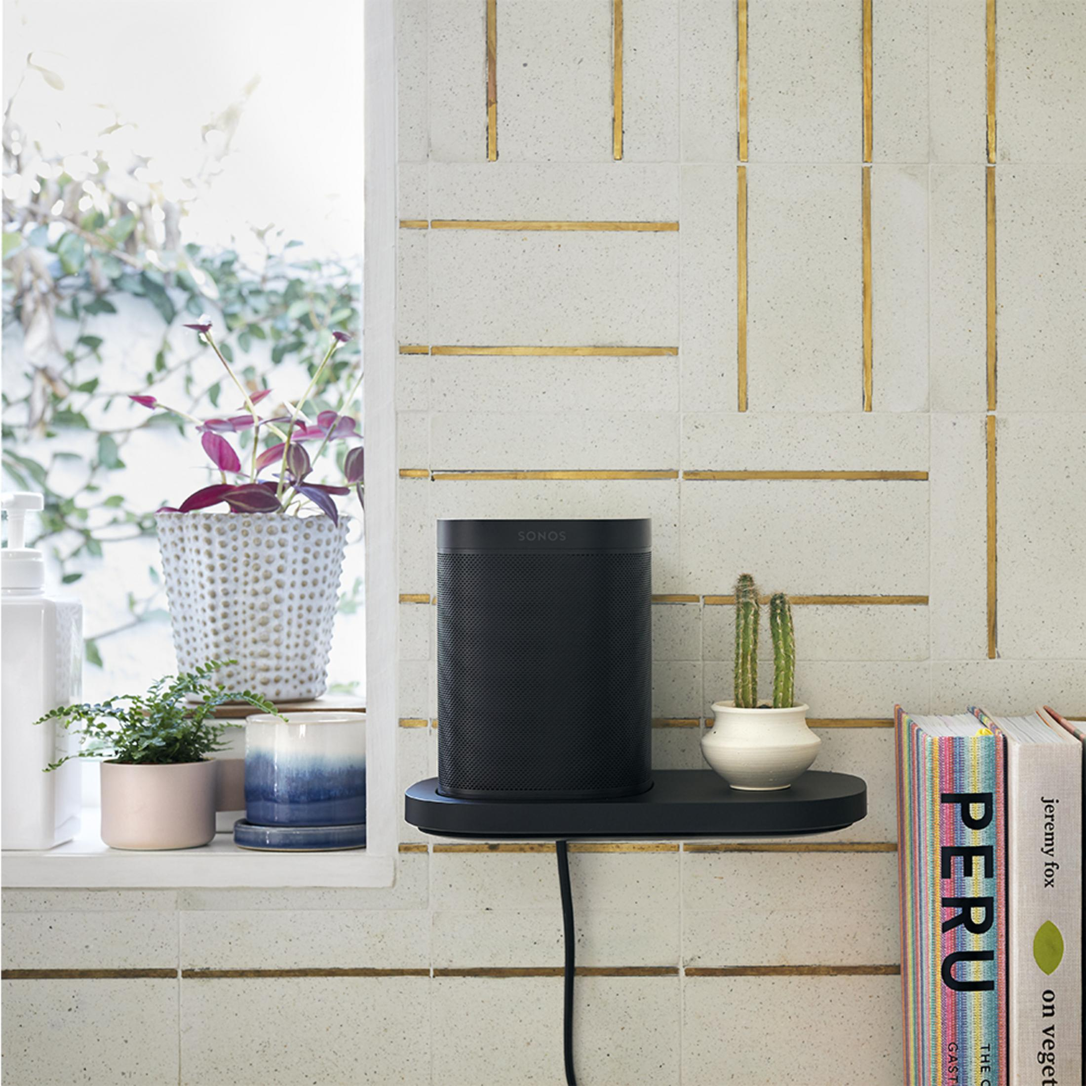 Baño con un altavoz negro en una estantería, plantas y azulejos decorativos.