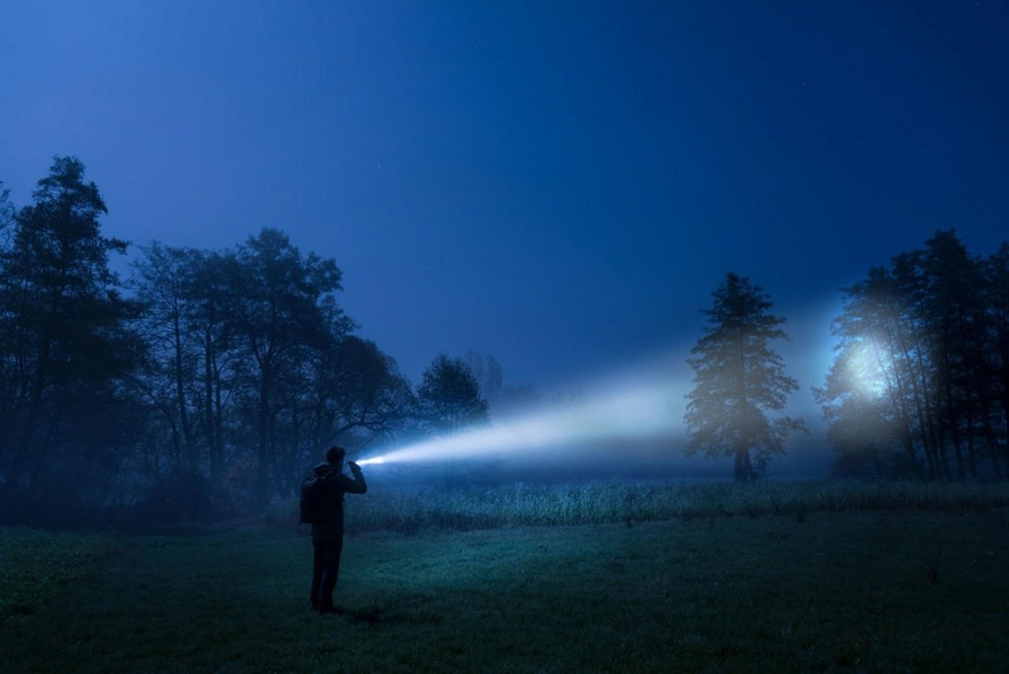 Osoba na polu w nocy z latarką skierowaną w stronę drzew.
