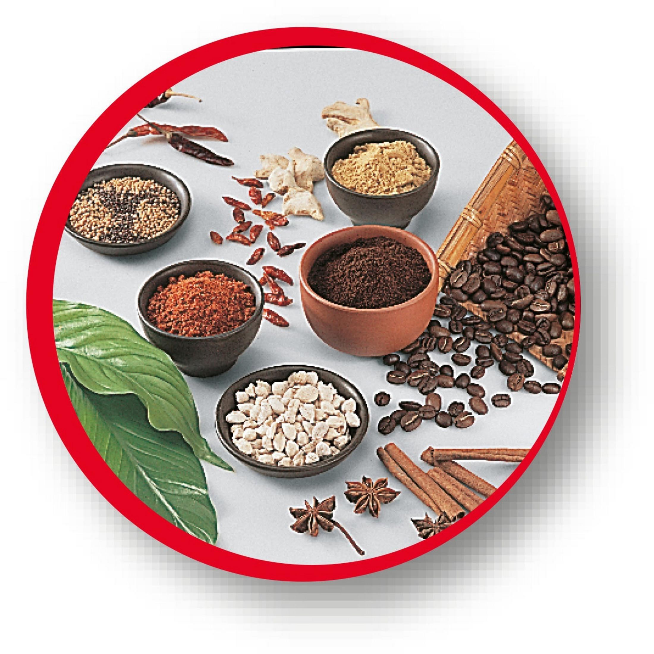 Eine Gruppe von Gewürzen und Kaffeebohnen in einem roten Kreis. Beinhaltet Chili, Zimt und Kaffee.