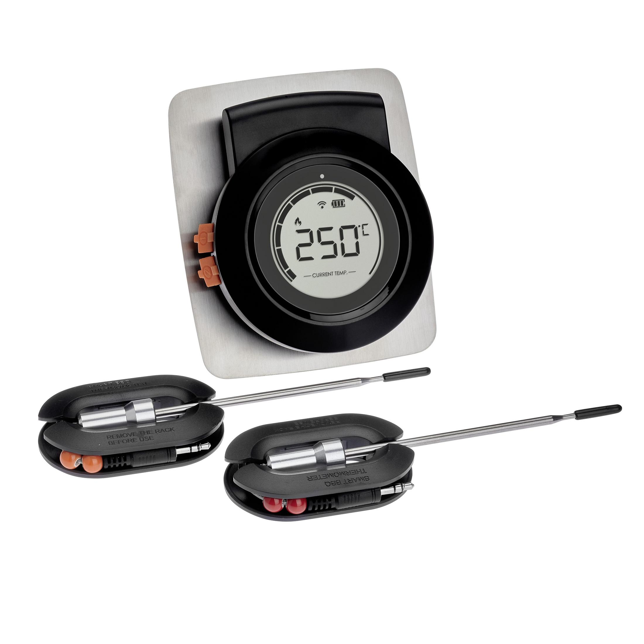 Schwarzes und silbernes digitales Thermometer mit zwei Sonden, zeigt 250 Grad an.