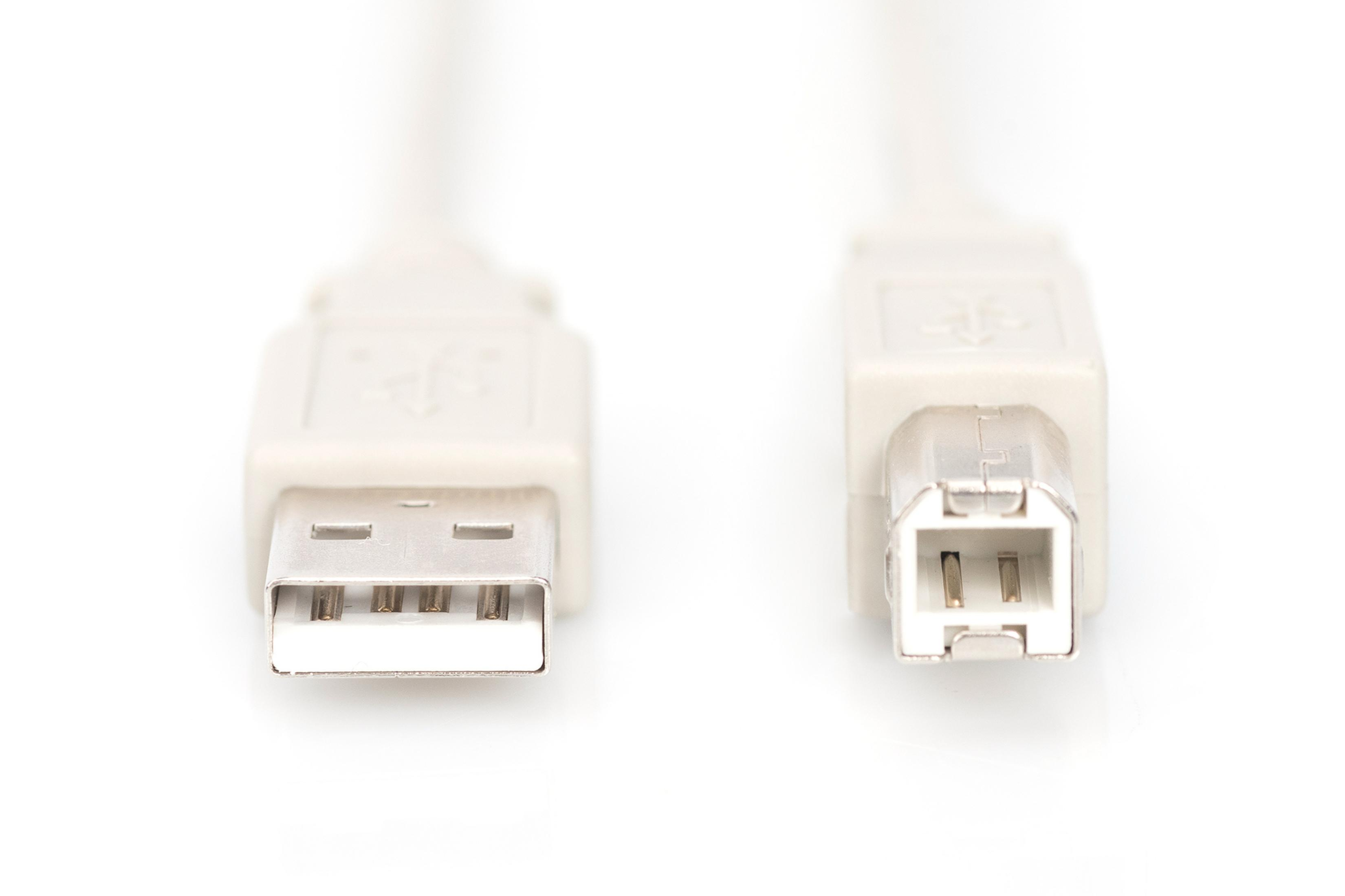 Dos extremos de un cable USB blanco, uno USB-A y otro USB-B, sobre fondo blanco.